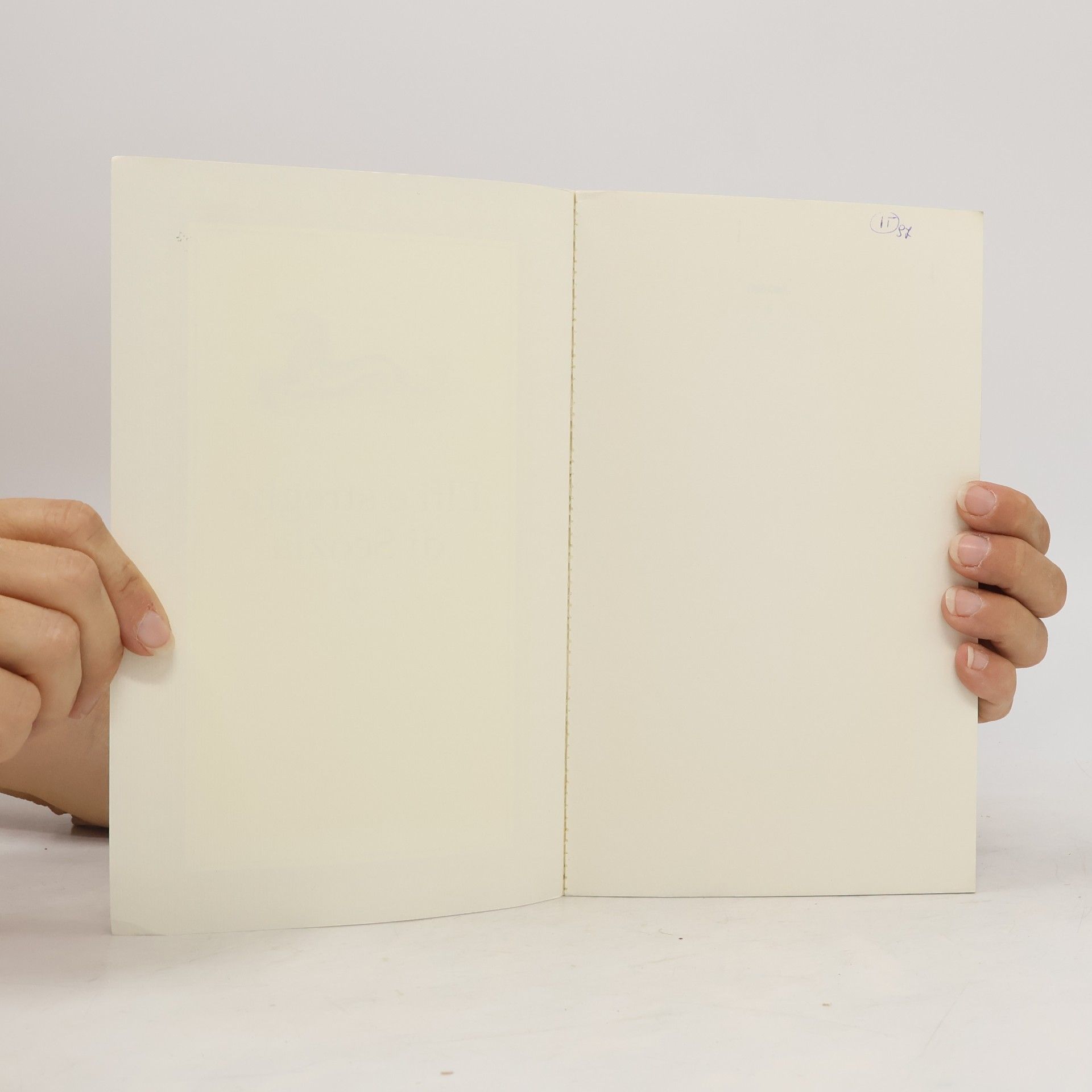 Collectif d'auteurs Elfi e streghe di Scozia