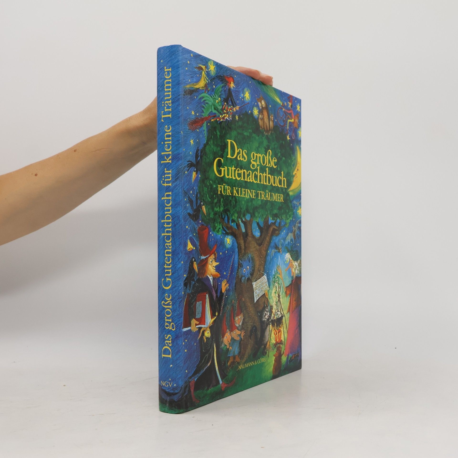 Waltraud Still Das grosse Gutenachtbuch für kleine Träumer