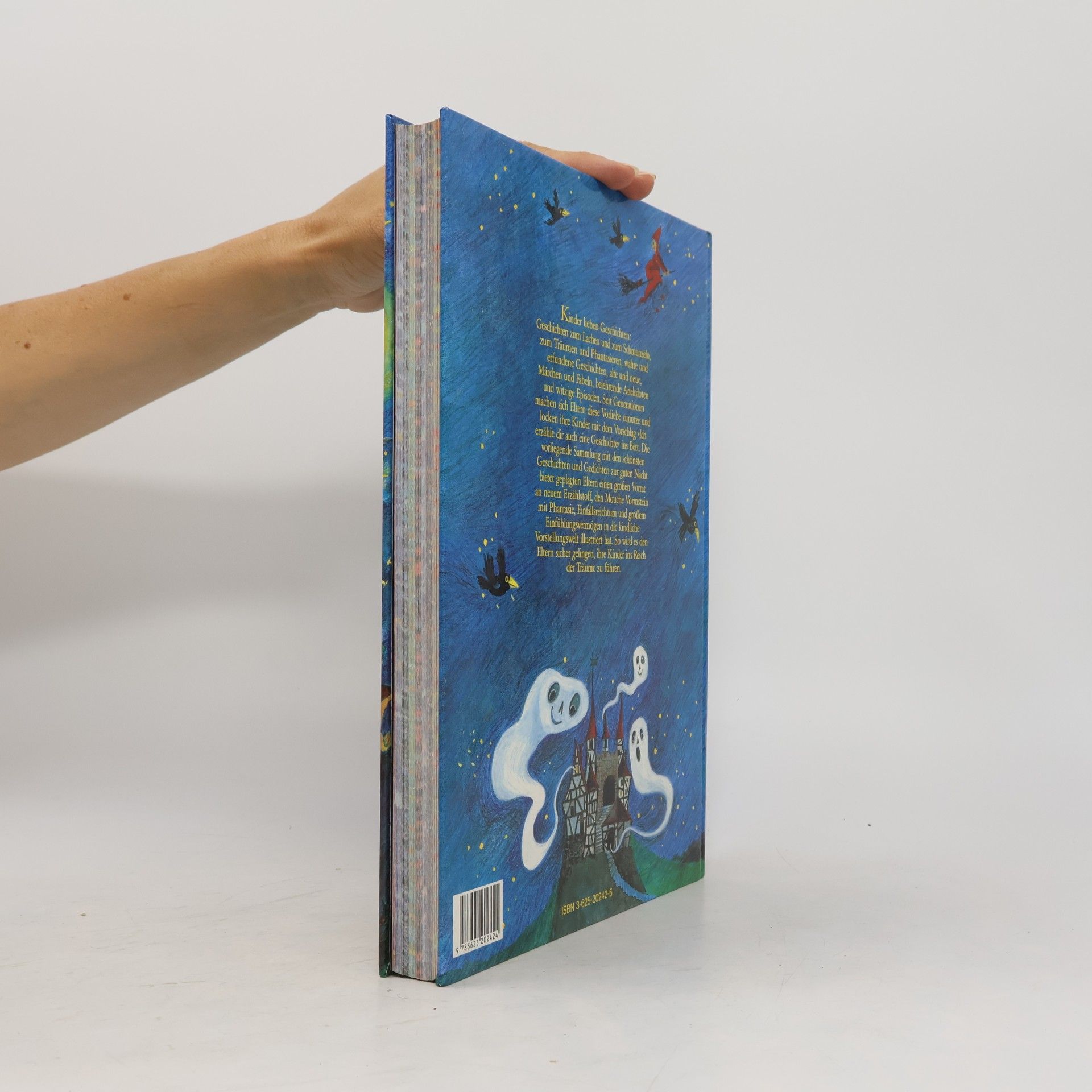 Waltraud Still Das grosse Gutenachtbuch für kleine Träumer