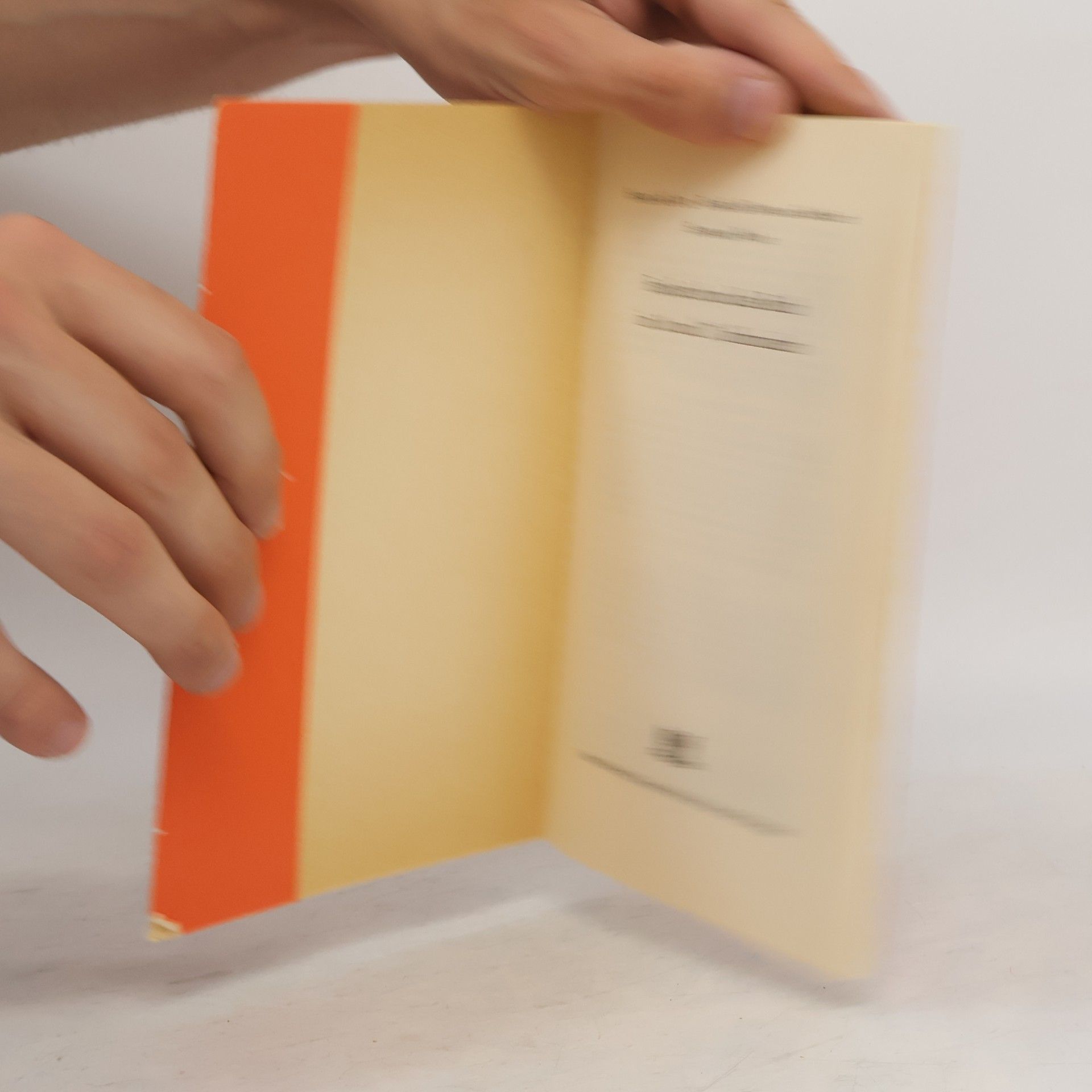 Collectif d'auteurs Frankreich und das Reich im 16. und 17. Jahrhundert