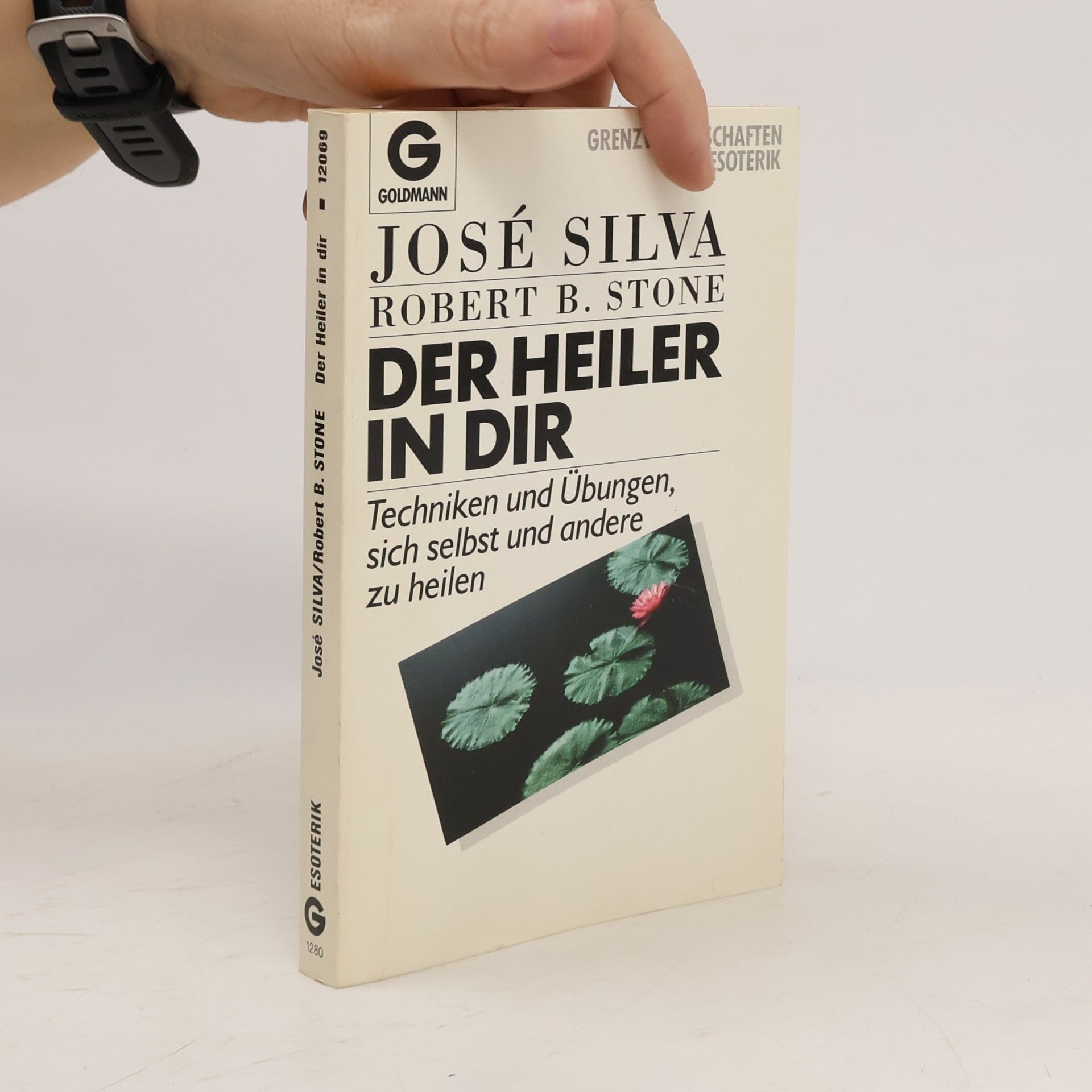 Der Heiler in dir
