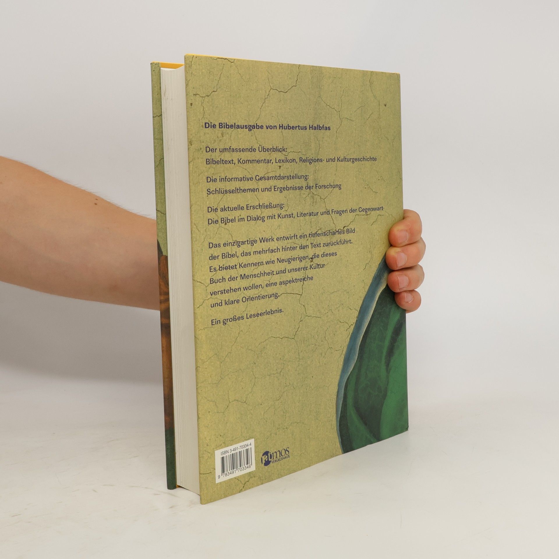Hubertus Halbfas Die Bibel