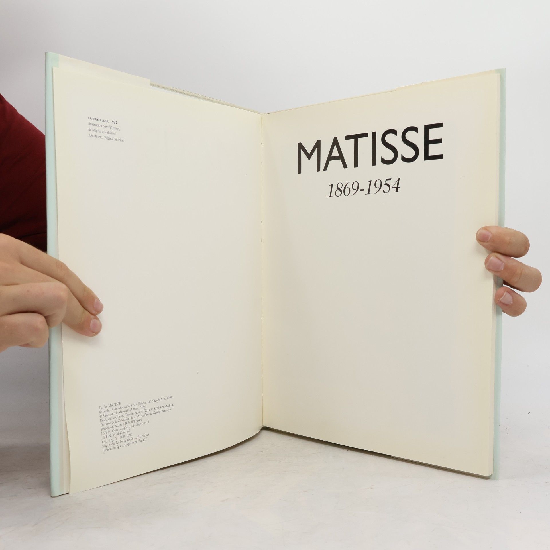 Henri Matisse Matisse 1869 - 1954
