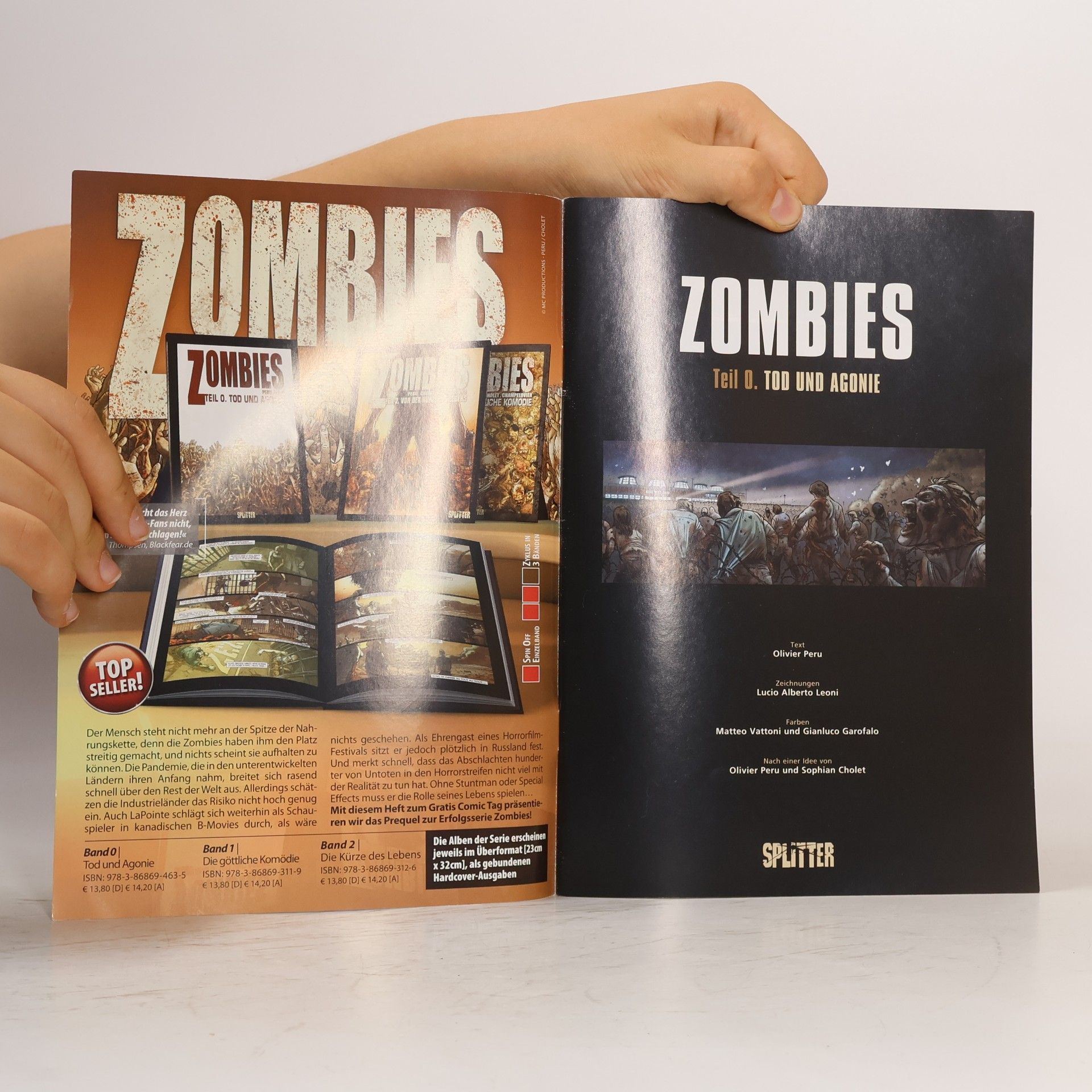 Collectif d'auteurs Zombies