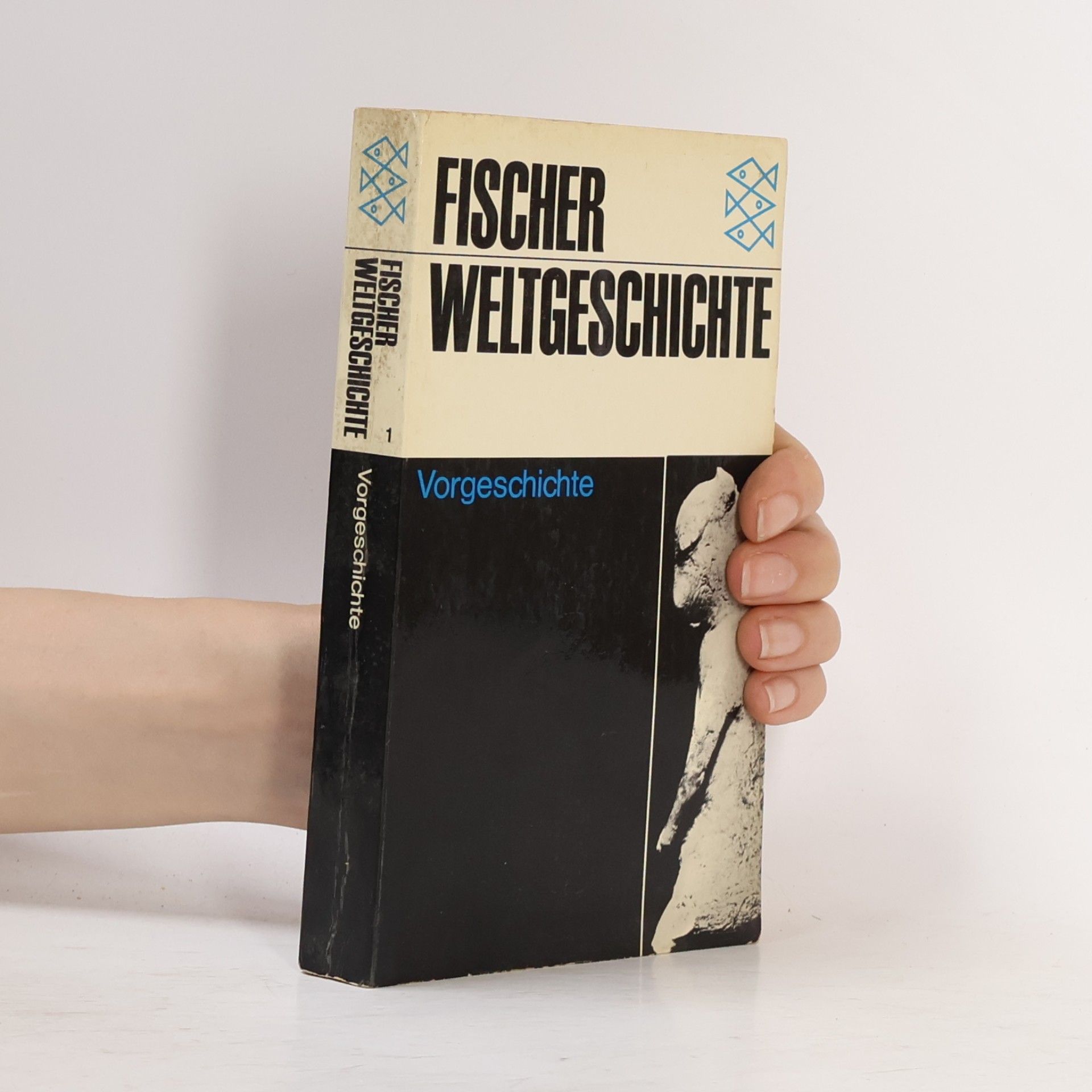 Autorenkollektiv Fischer Weltgeschichte : Vorgeschichte