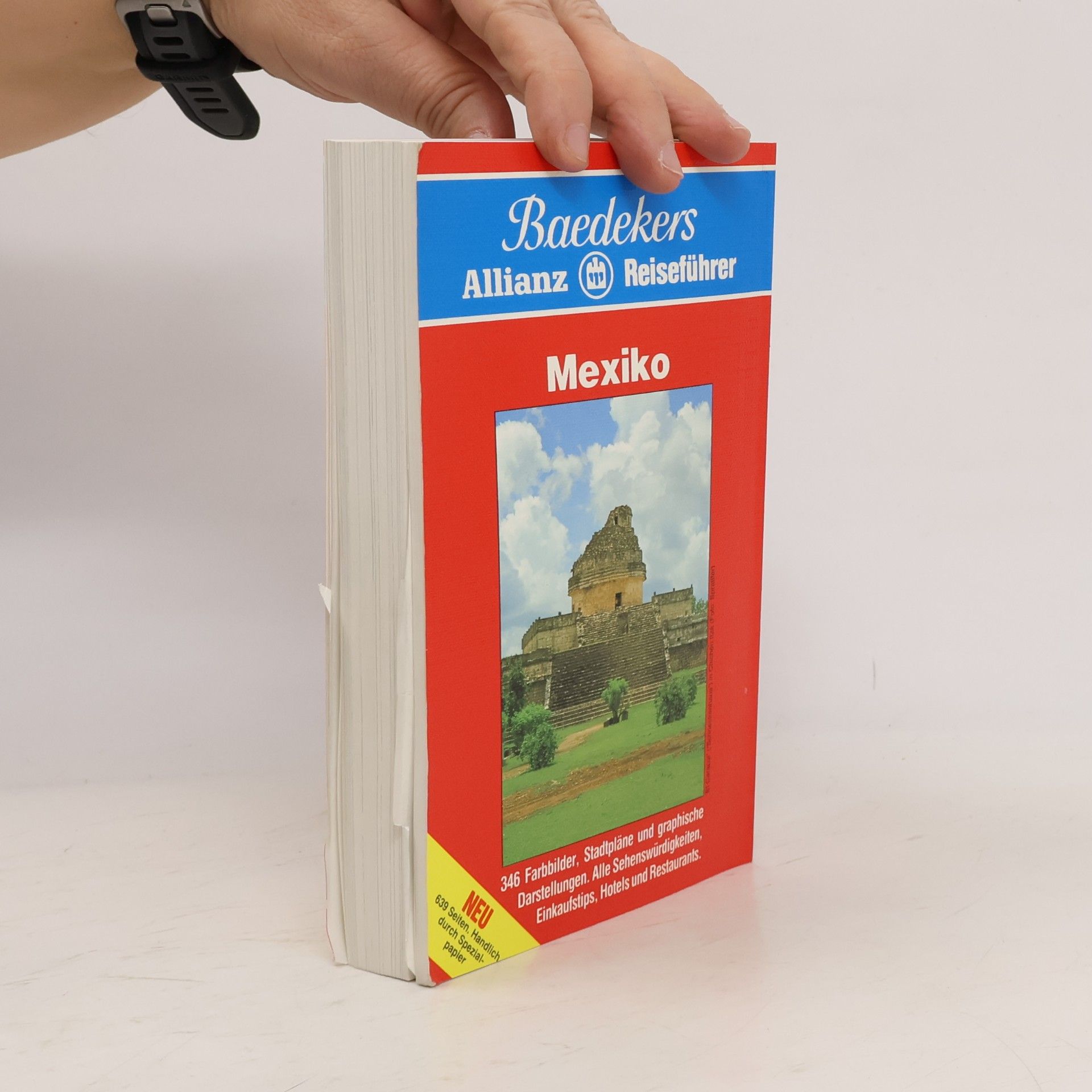 Collectif d'auteurs Mexiko