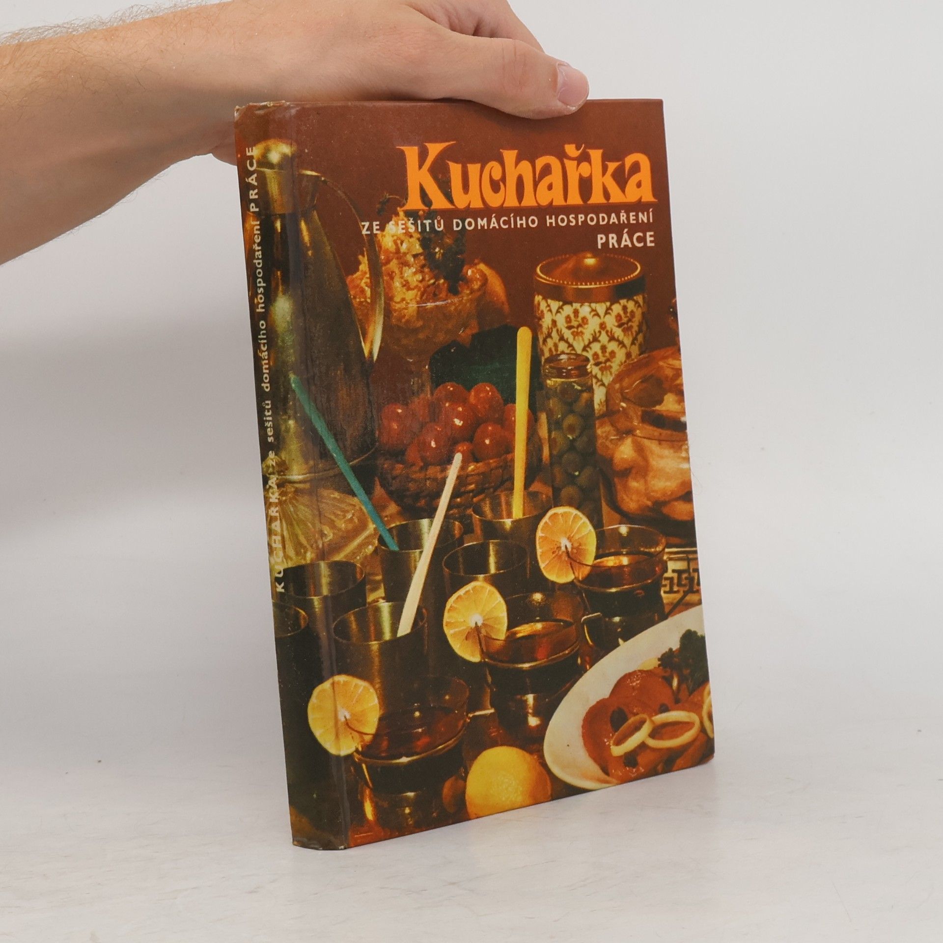 Joza Břízová Kuchařka ze sešitů domácího hospodaření