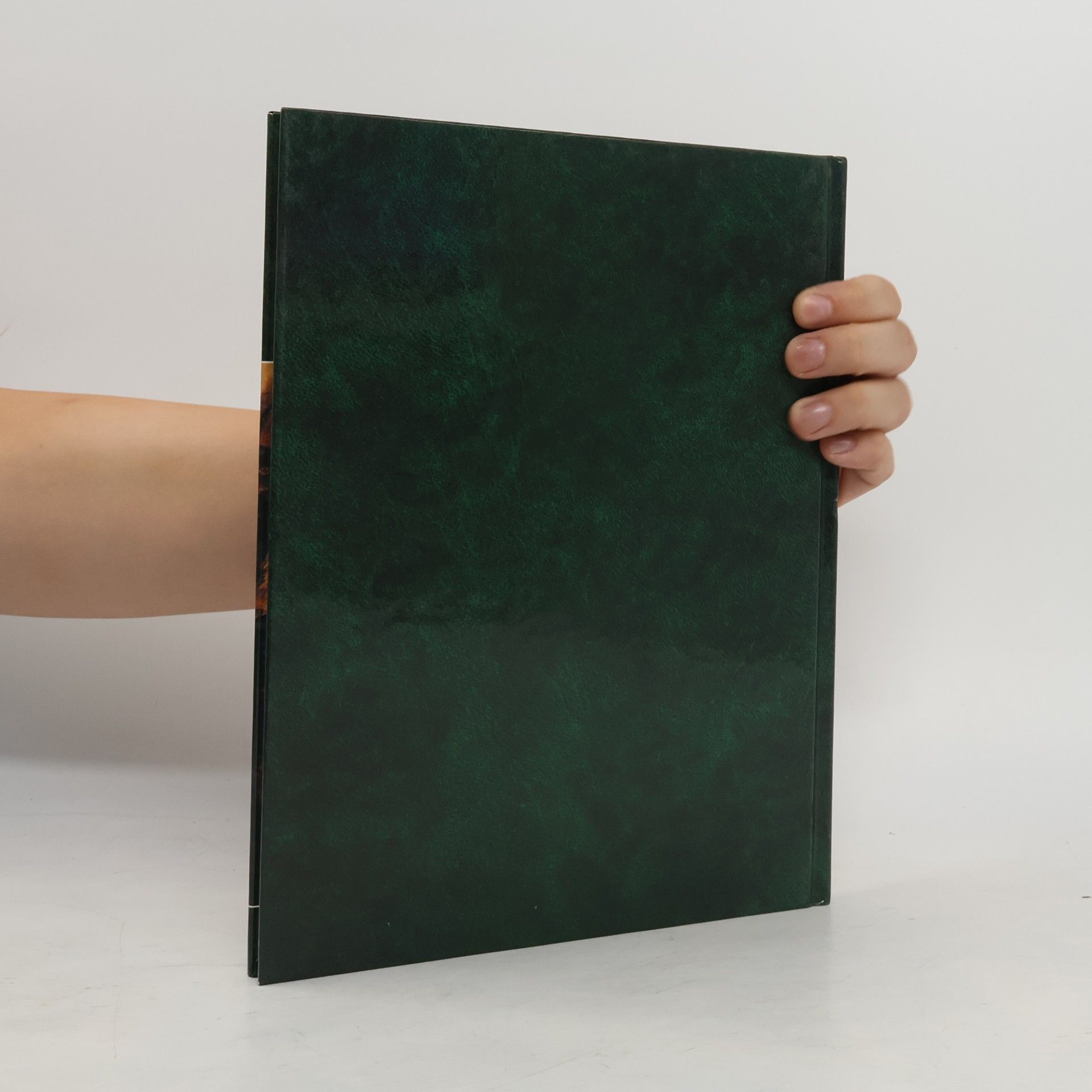 Various authors Lebendiges Tierreich Die neue Enzyklopädie in Farbe Ein Agostini Sammelwerk Band 37