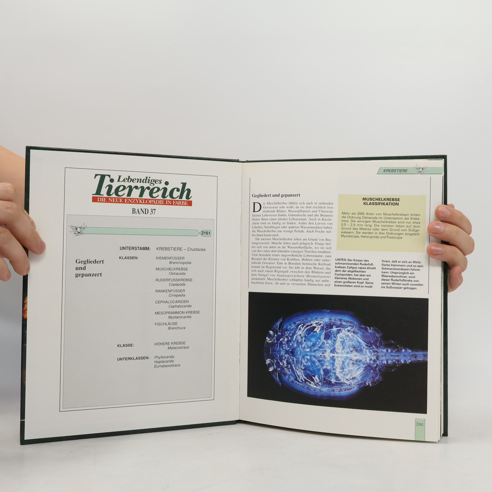 Various authors Lebendiges Tierreich Die neue Enzyklopädie in Farbe Ein Agostini Sammelwerk Band 37