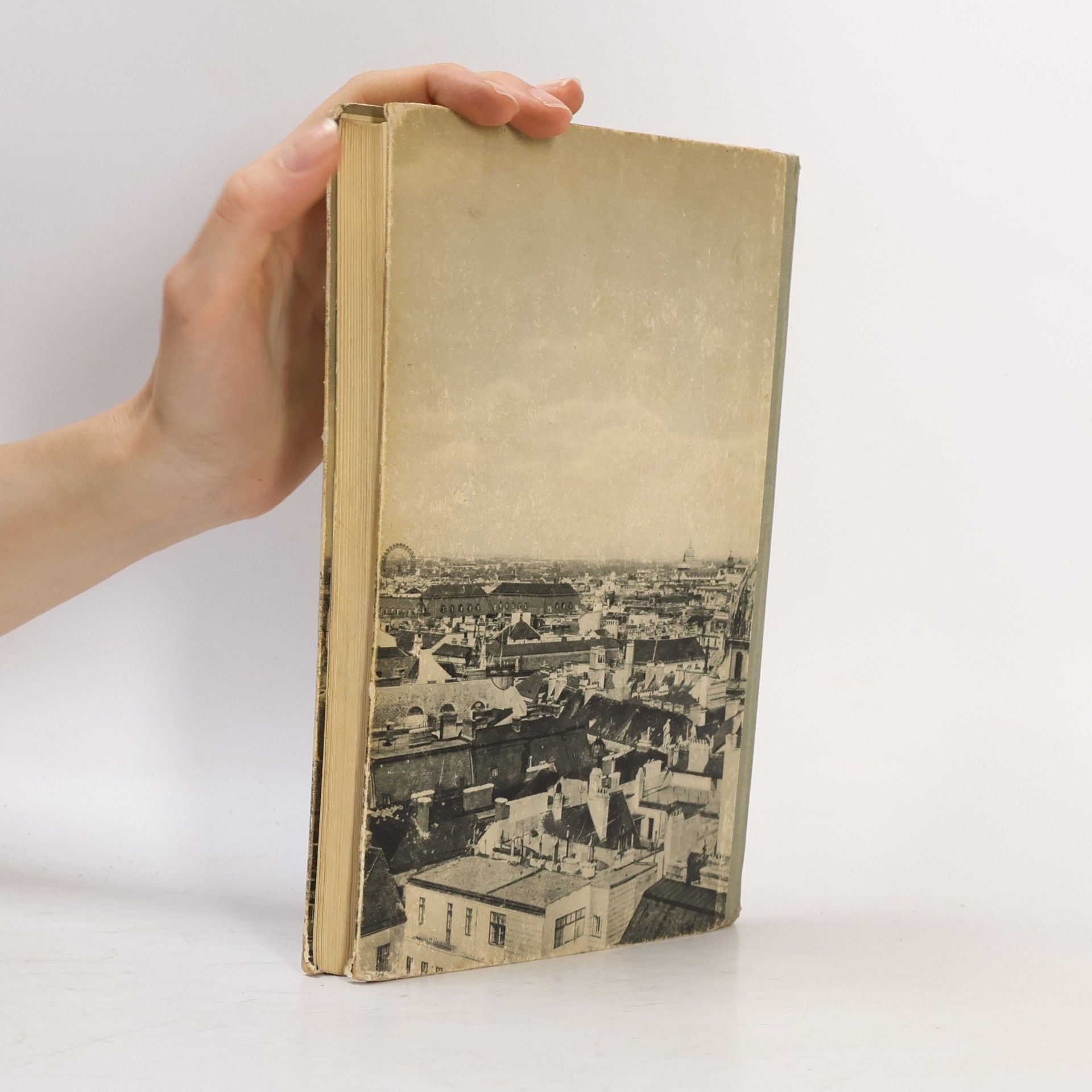 Collectif d'auteurs Die schöne Heimat