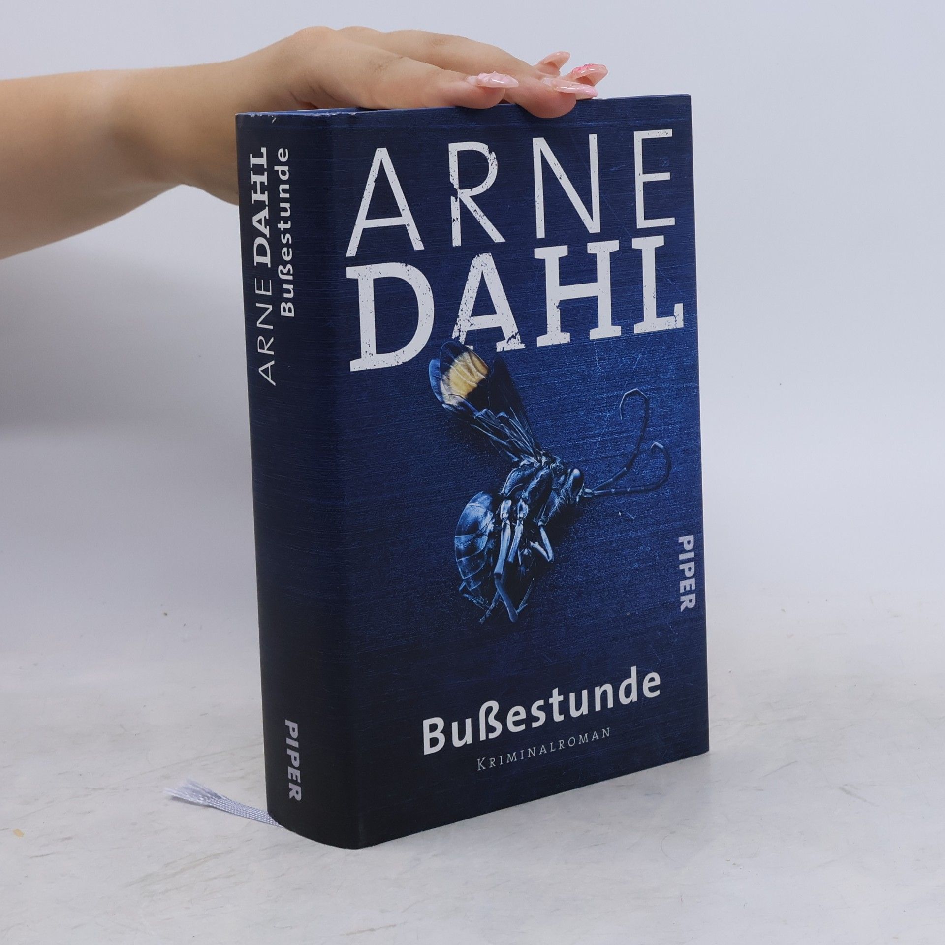 Arne Dahl Bußestunde