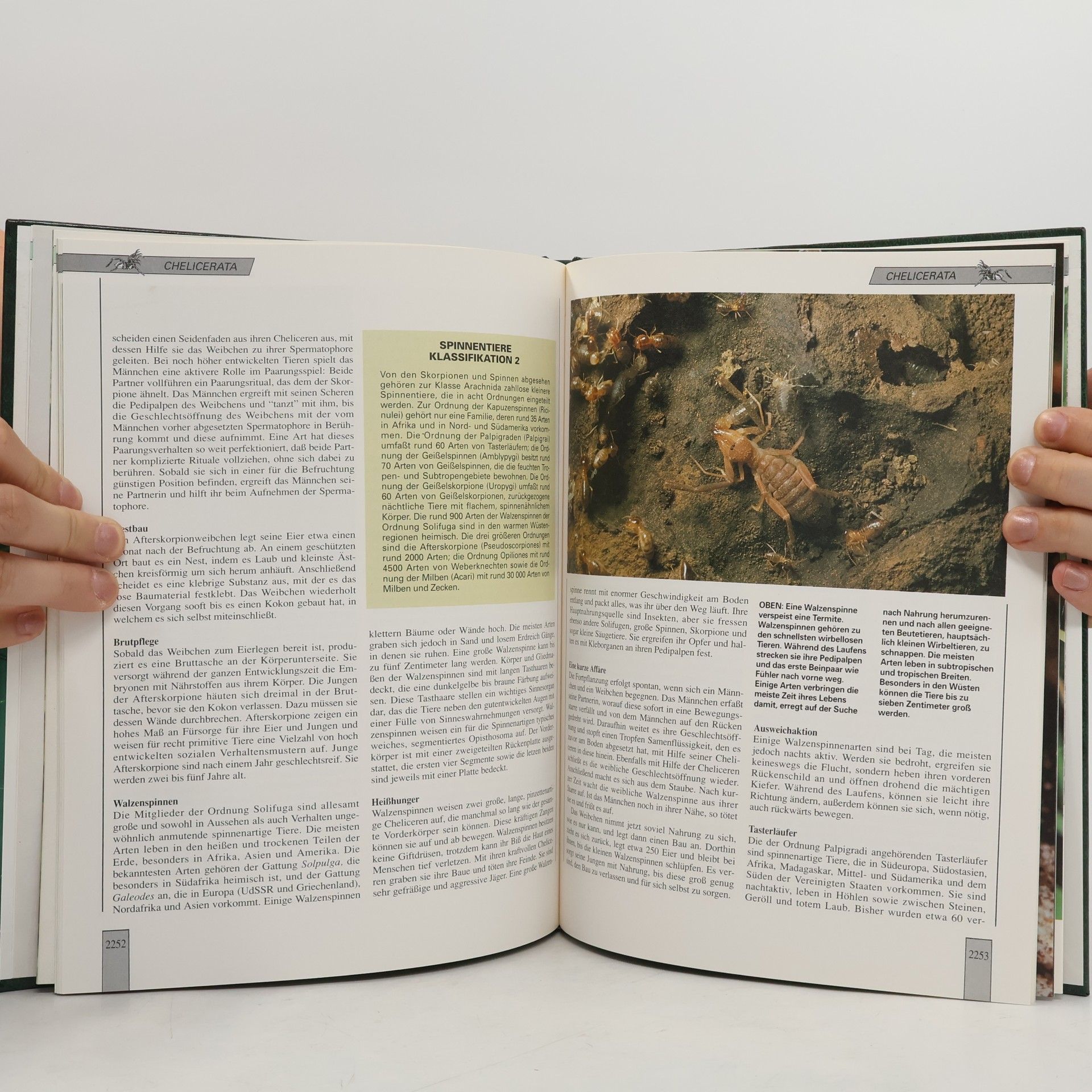 Autorenkollektiv Lebendiges Tierreich 38