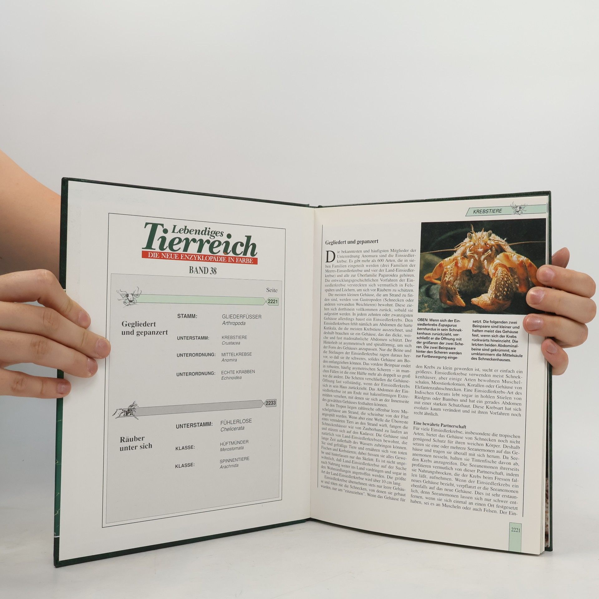 Autorenkollektiv Lebendiges Tierreich 38