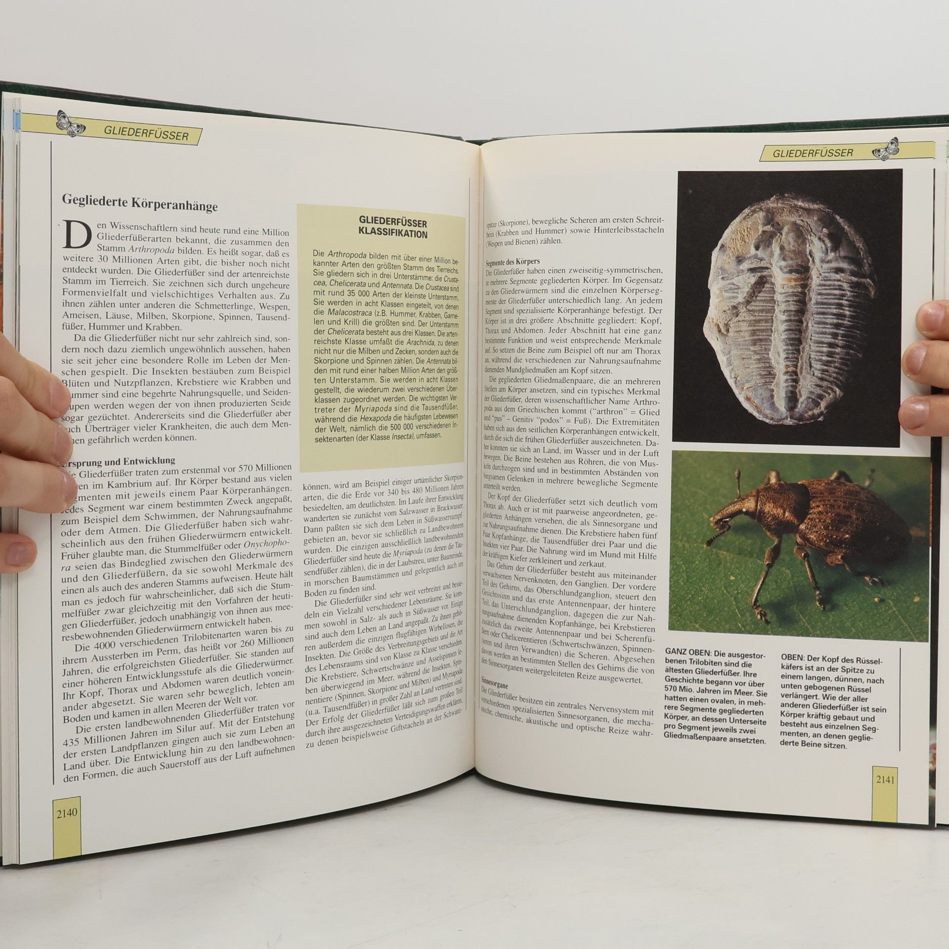 Autorenkollektiv Lebendiges Tierreich 36