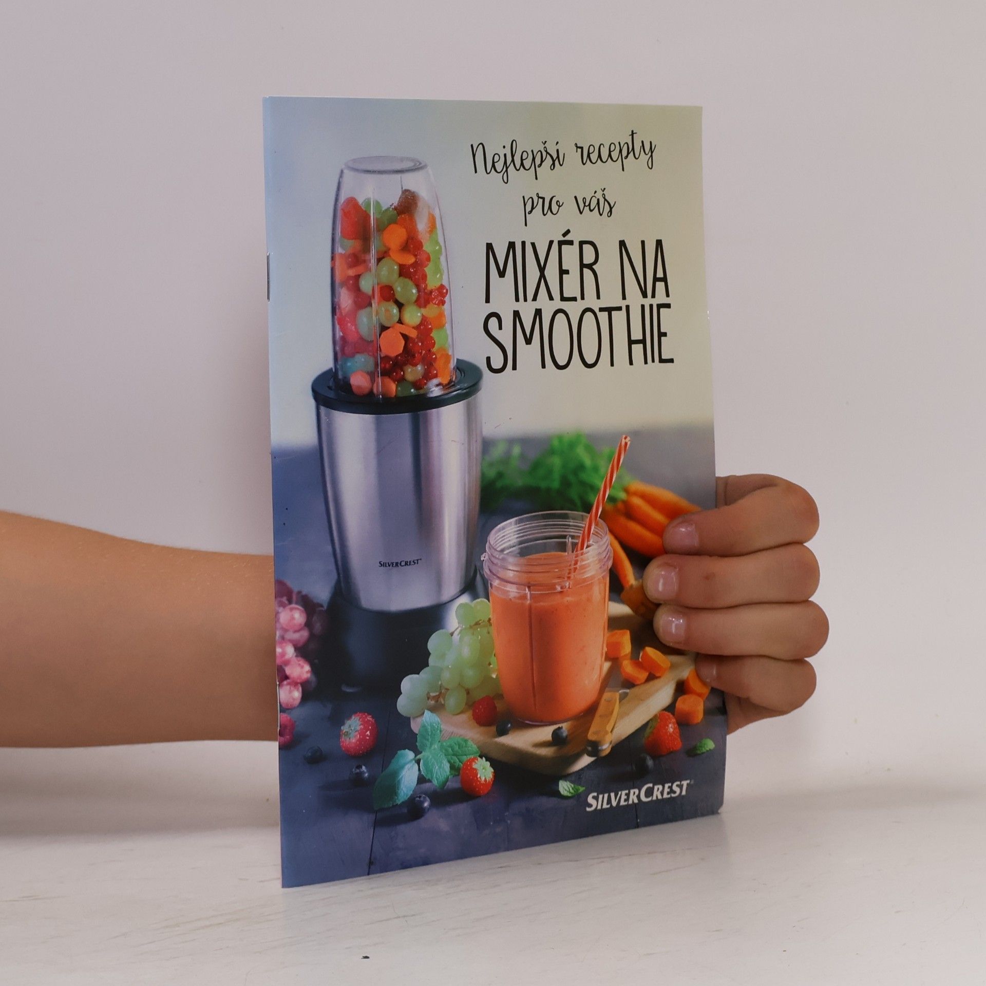 Autorenkollektiv Mixér na smoothie