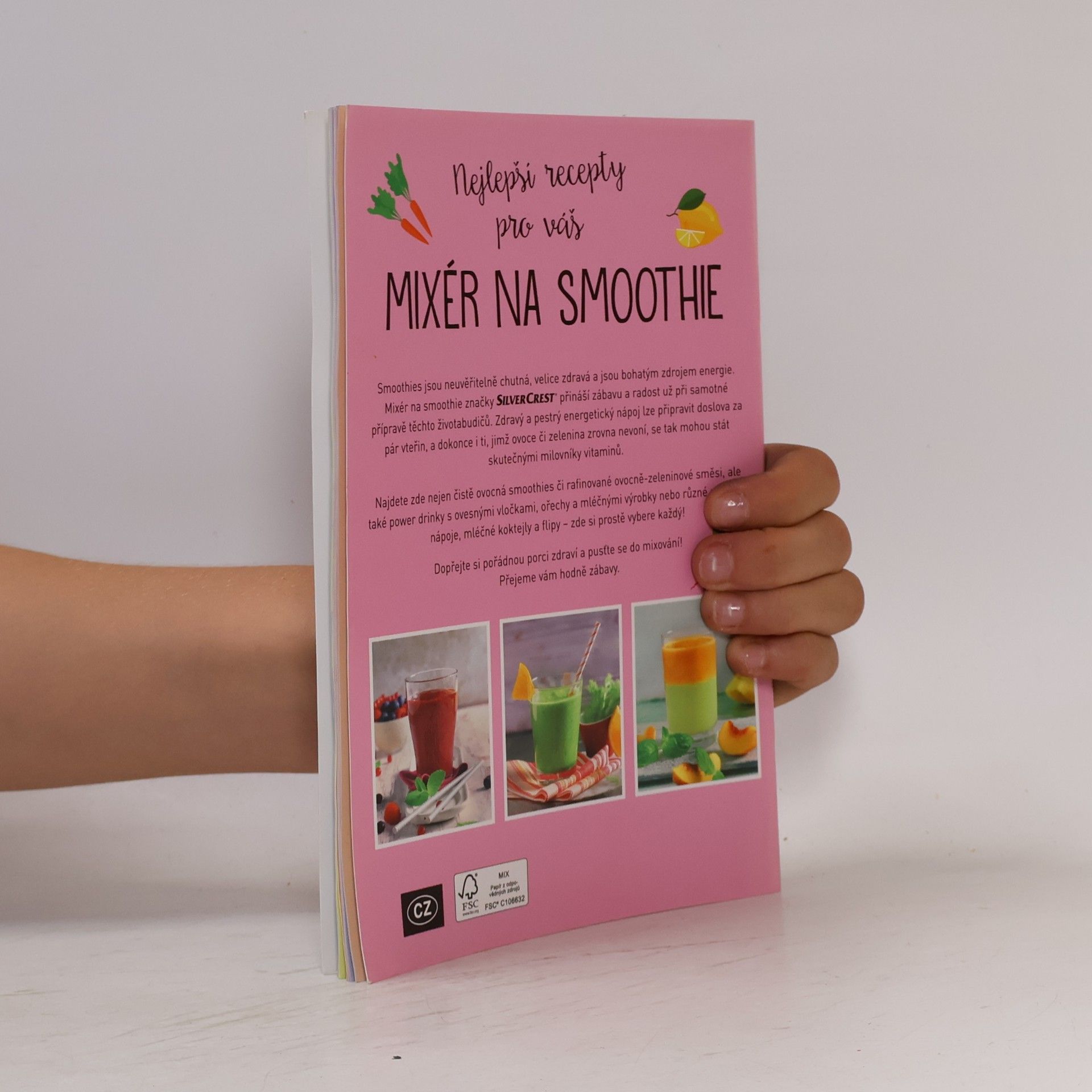 Autorenkollektiv Mixér na smoothie