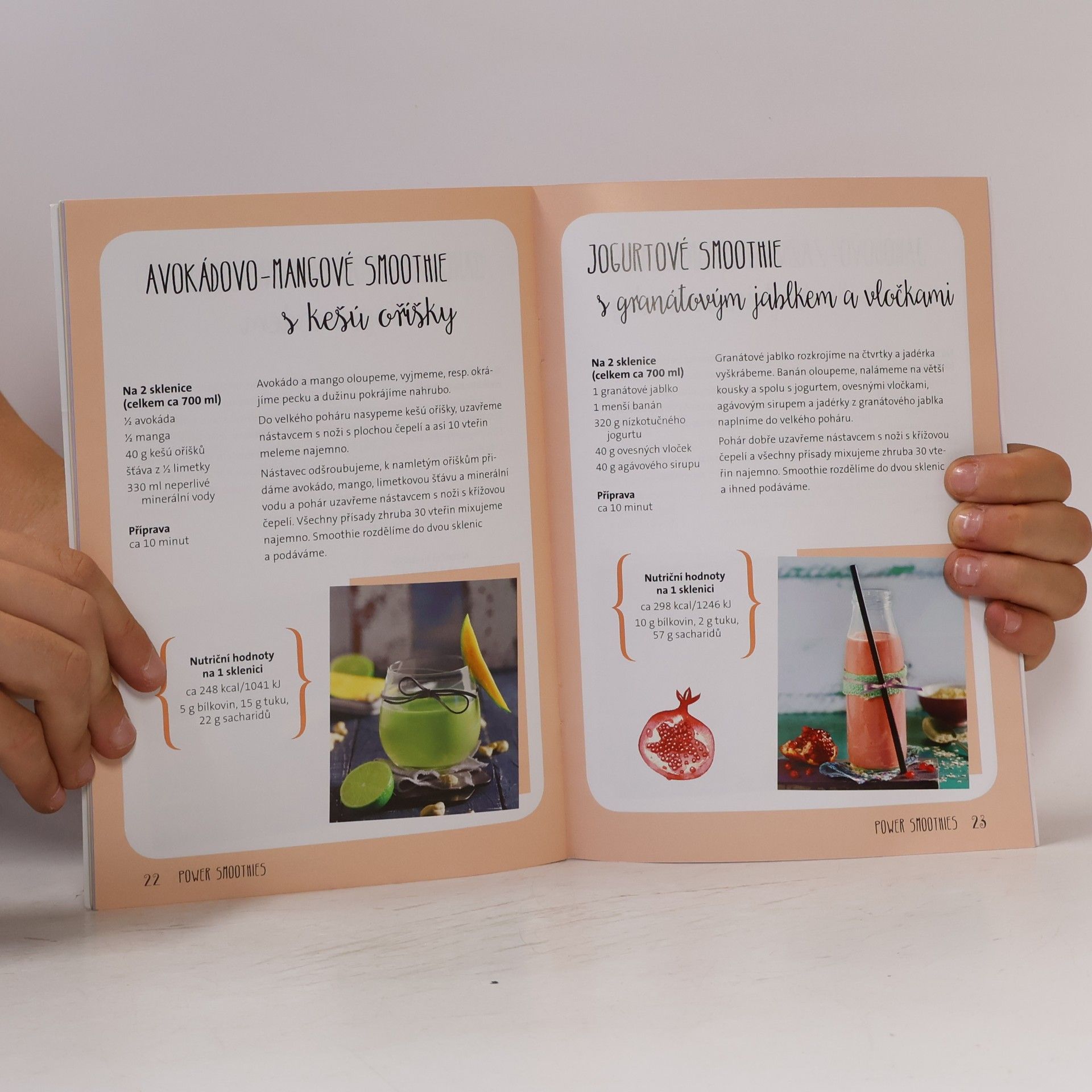Autorenkollektiv Mixér na smoothie