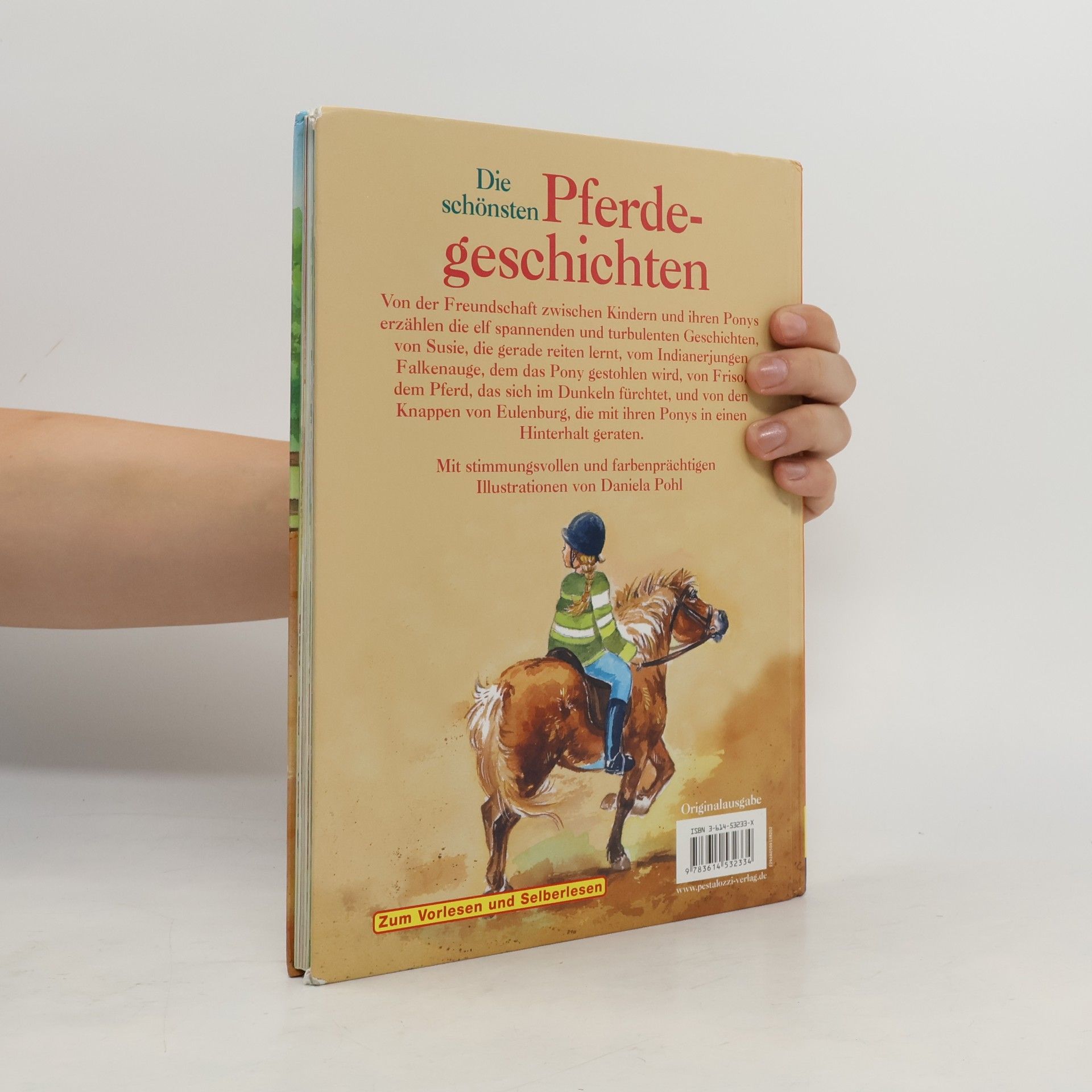 Daniela Pohle Die schönsten Pferdegeschichten