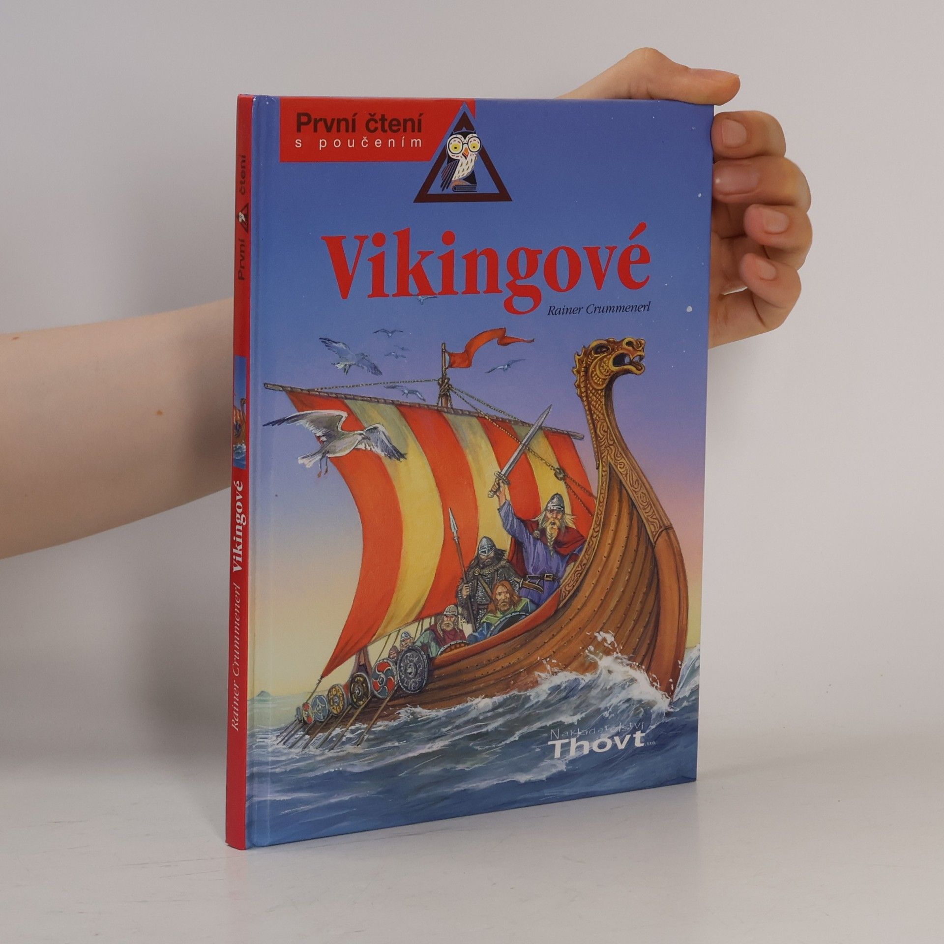 Kolektív autorov Vikingové