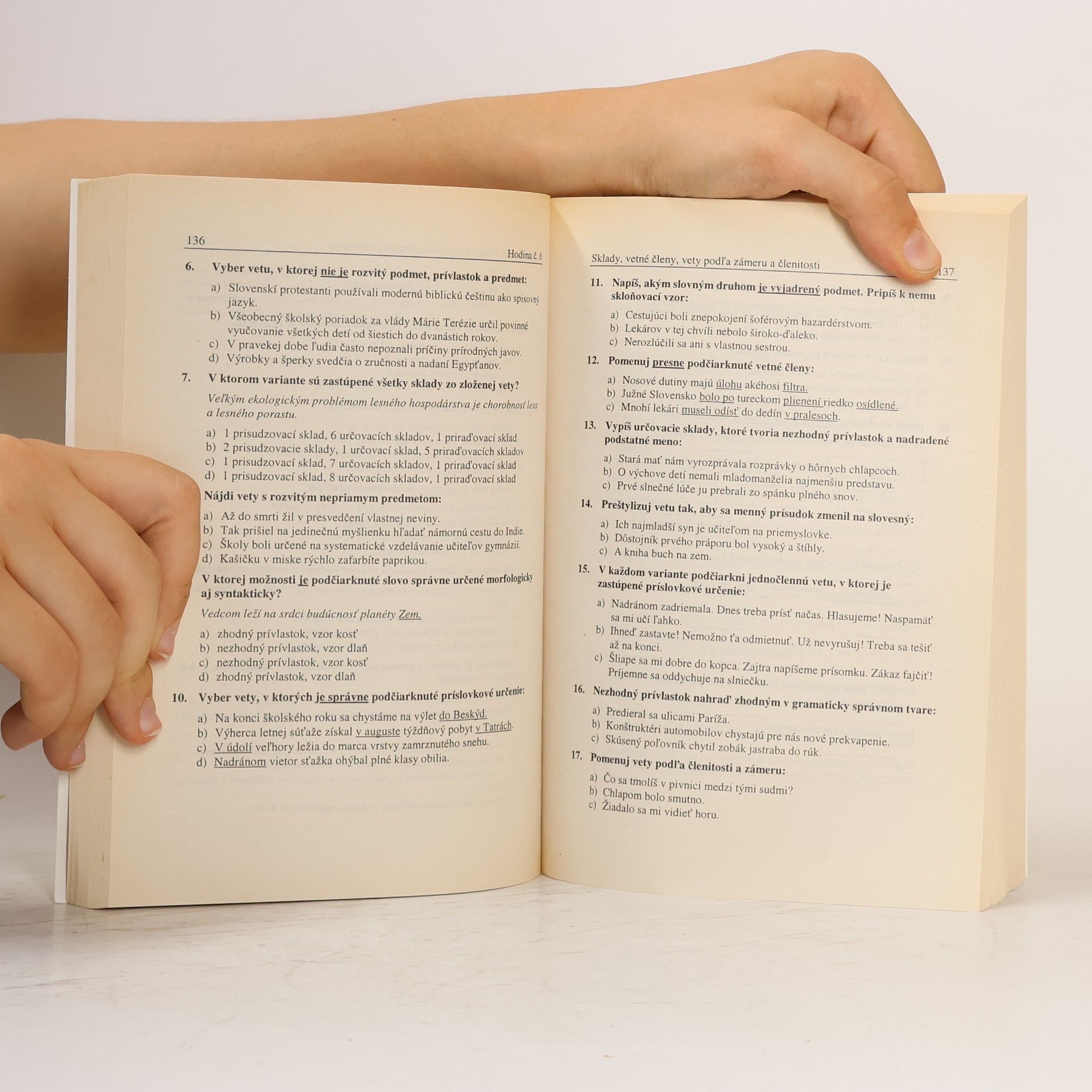 Ľubica Hybenová Slovenský jazyk a literatúra: zbierka testov s aktuálnym prehl'adom gramatiky a literatúry