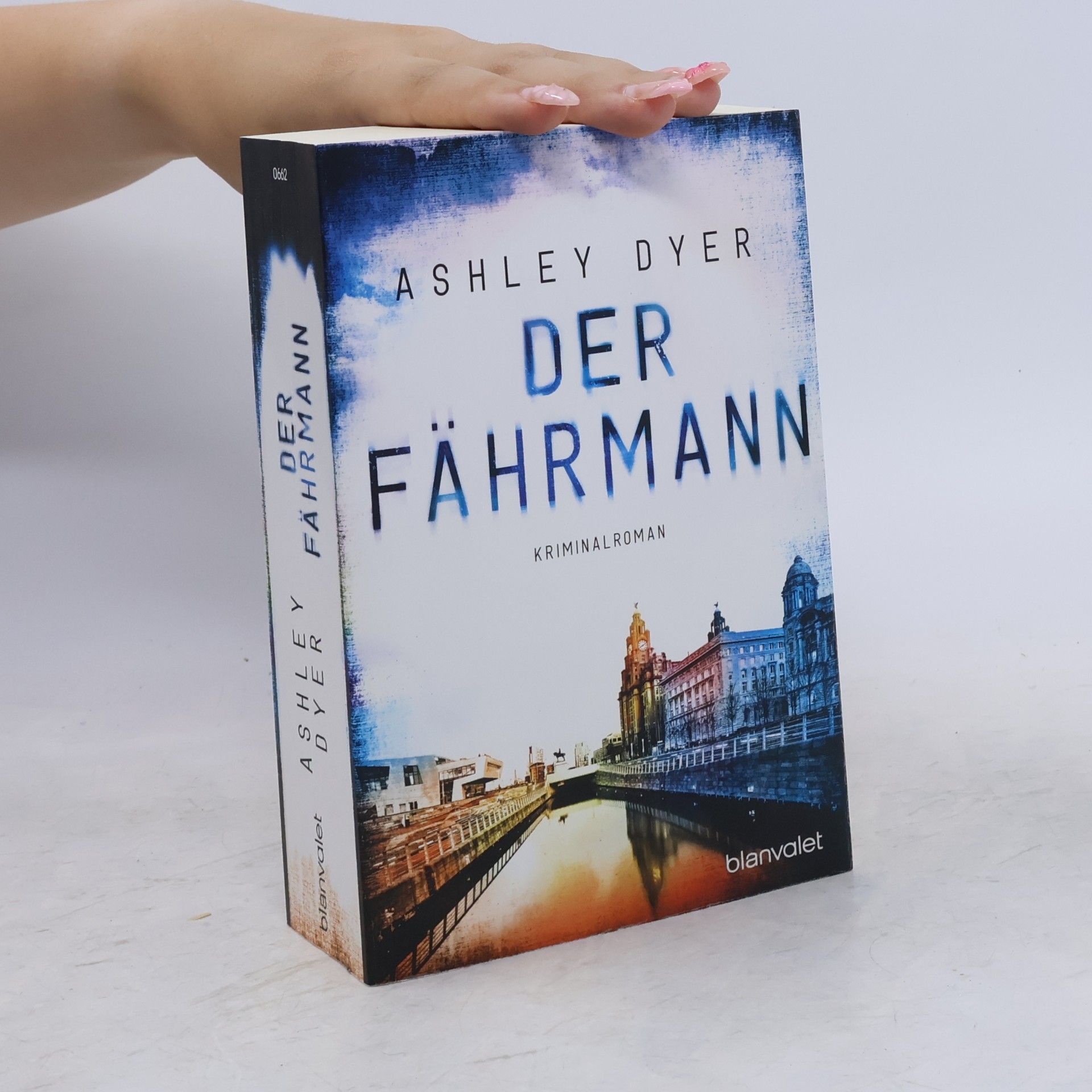 Ashley Dyer Der Fährmann