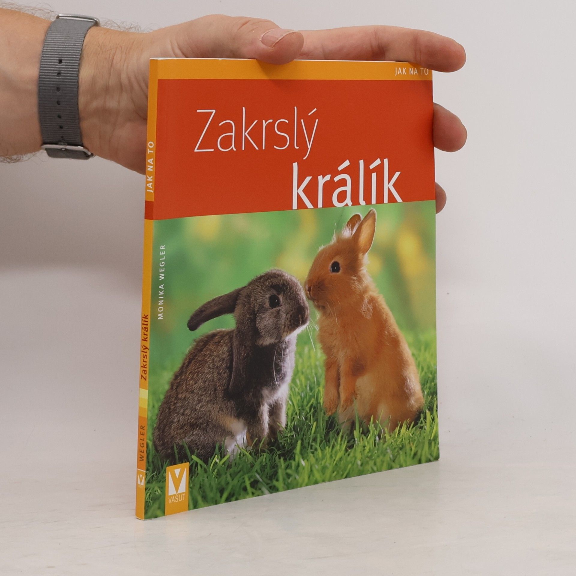 Monika Wegler Zakrslý králík