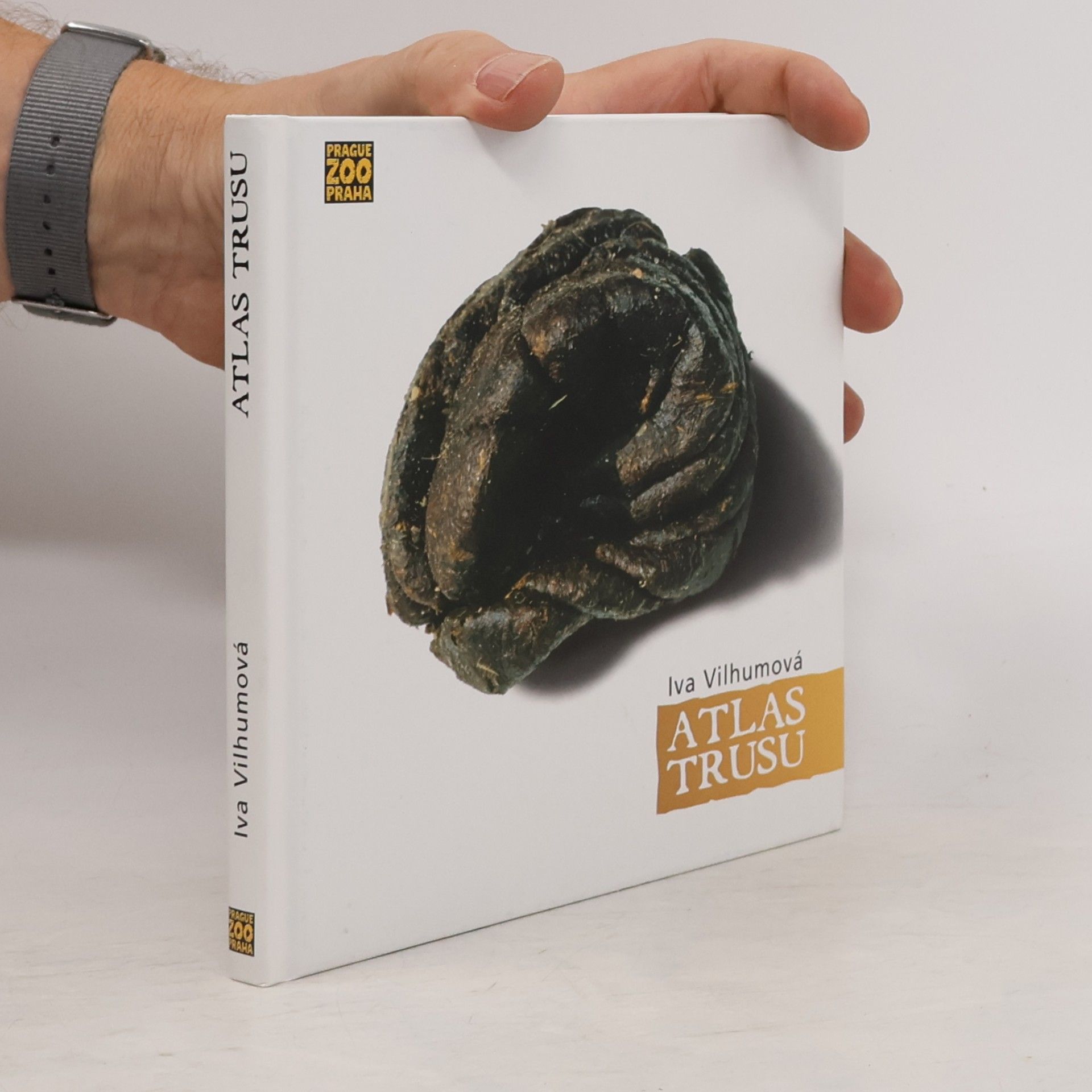 Iva Vilhumová Atlas trusu