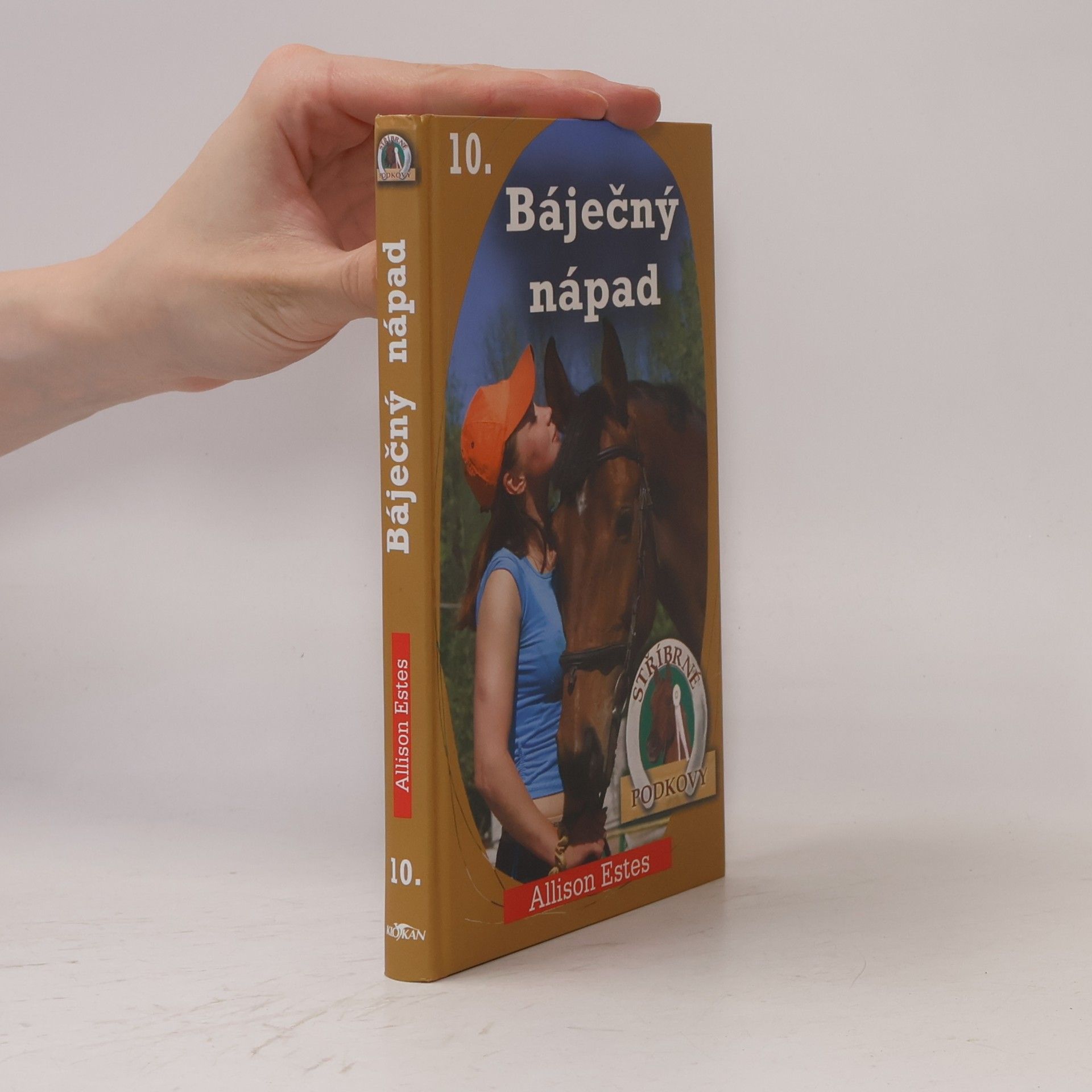 Allison Estes Stříbrné podkovy 10. Báječný nápad