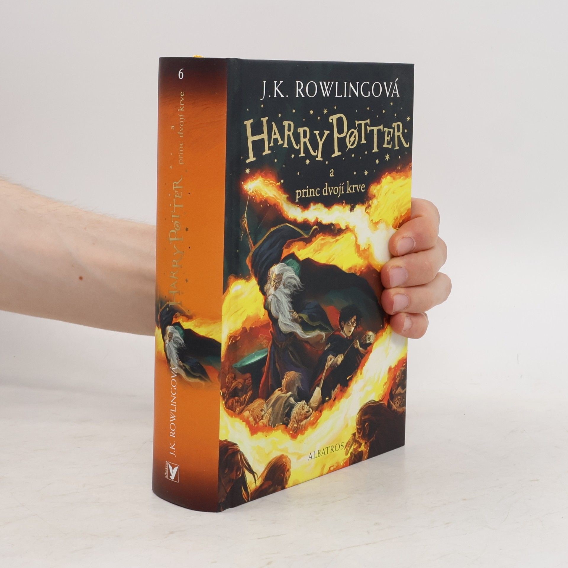 Pavel Medek Harry Potter a princ dvojí krve