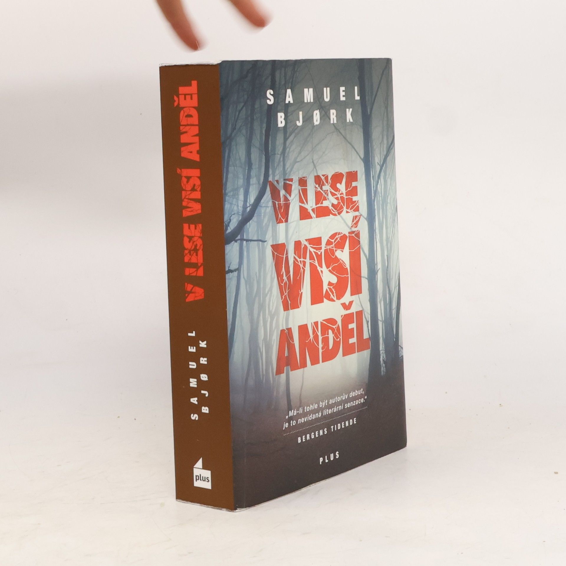 Samuel Bjork V lese visí anděl