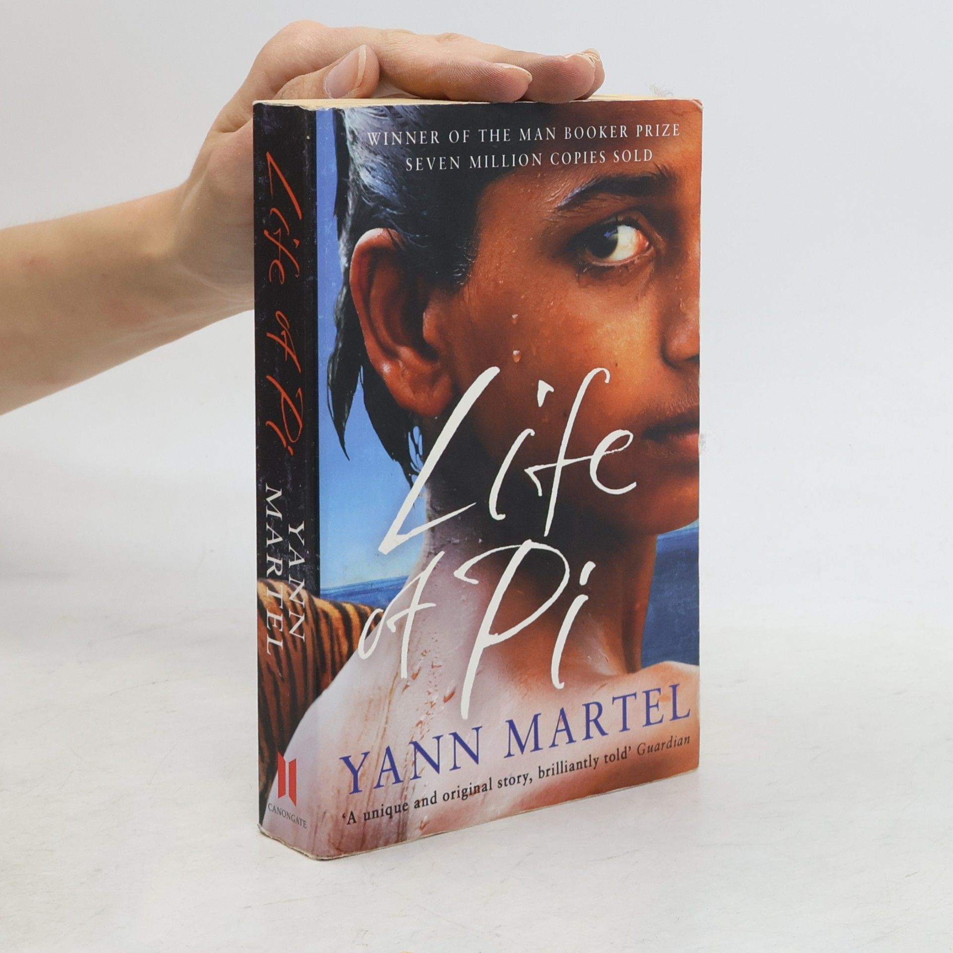 Yann Martel Life of Pi