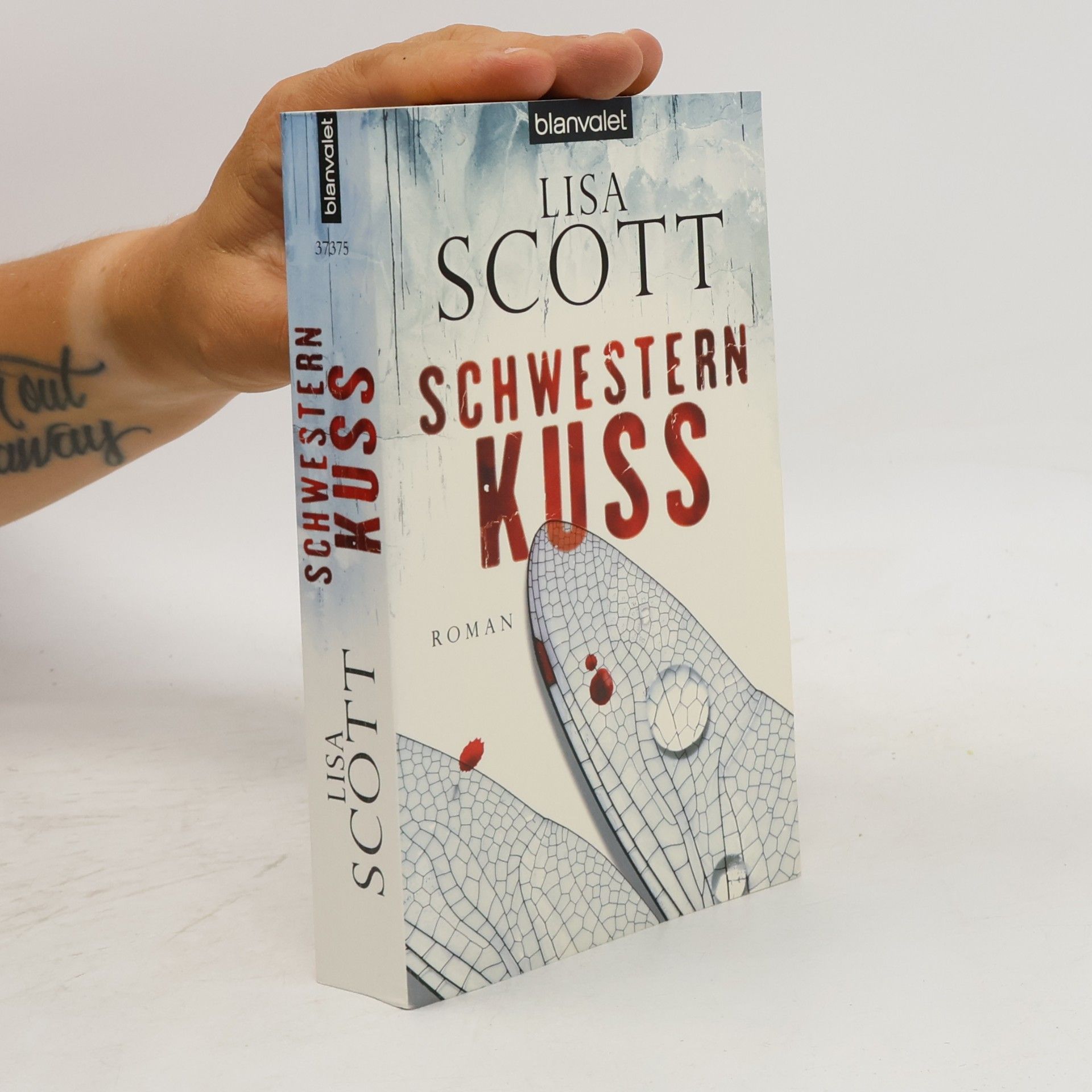 Harlan Coben Schwesternkuss