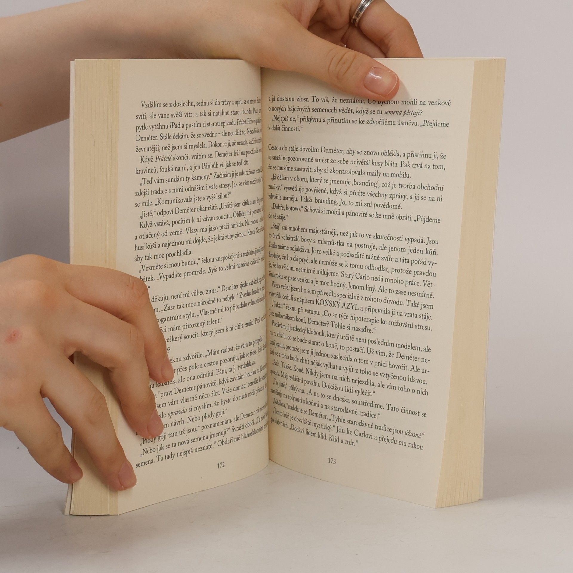 Sophie Kinsella Můj (téměř) dokonalý život