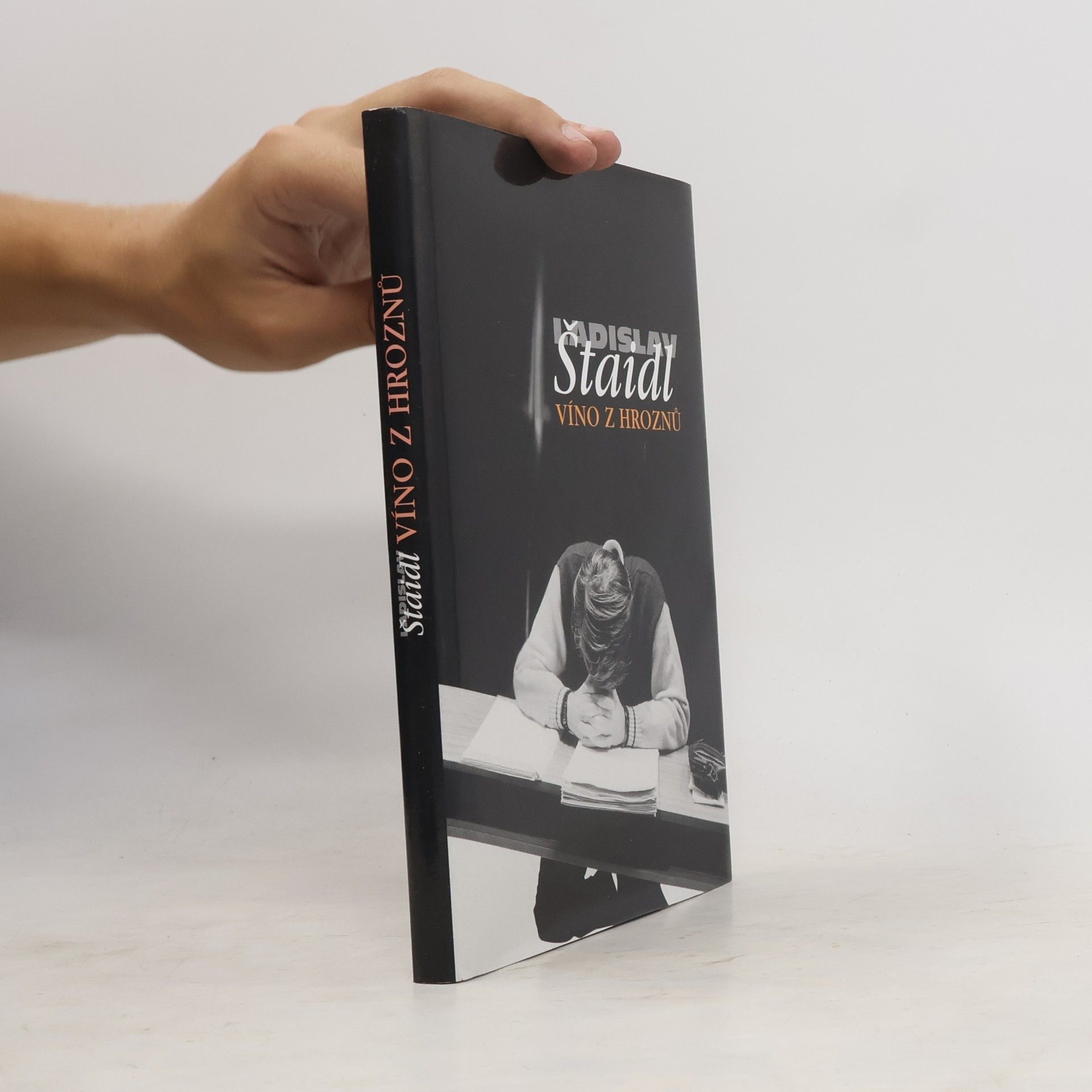 Ladislav Štaidl Víno z hroznů