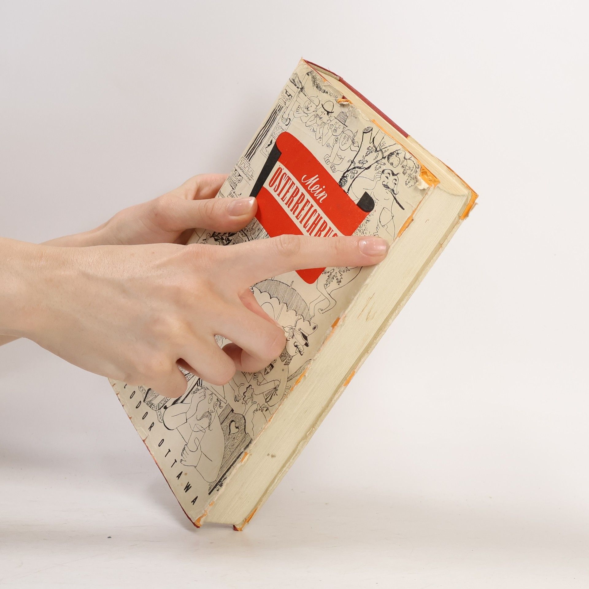 Theodor Ottawa Mein Österreichbuch