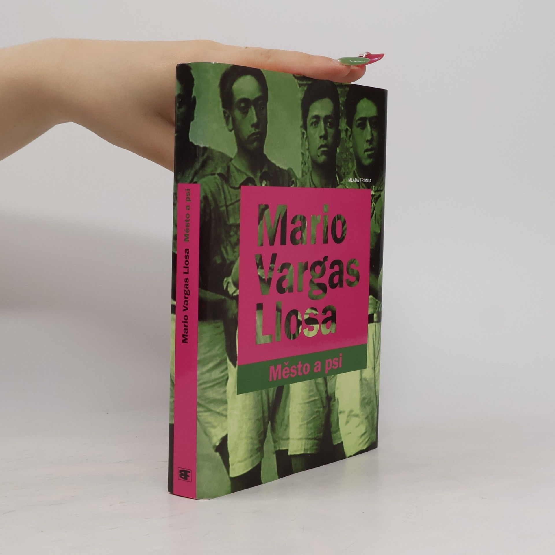 Mario Vargas Llosa Město a psi