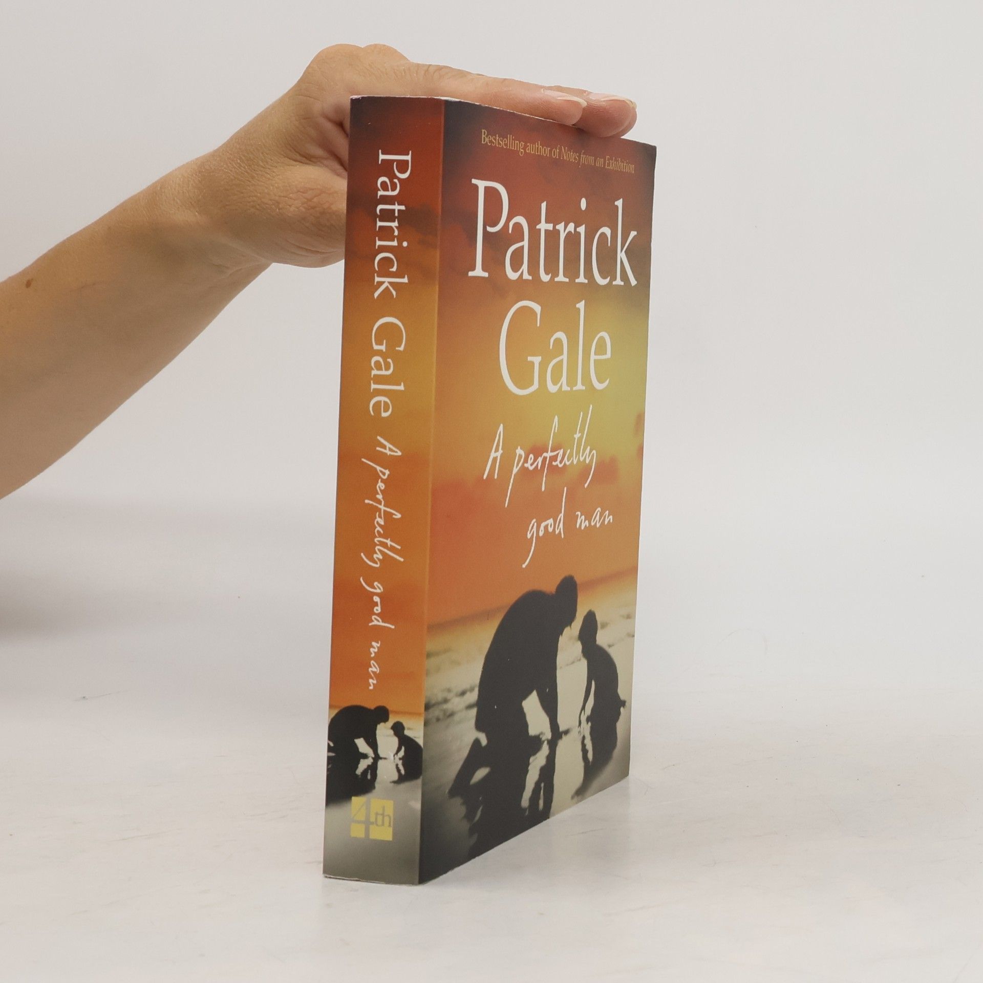 Patrick Gale A perfectly good man