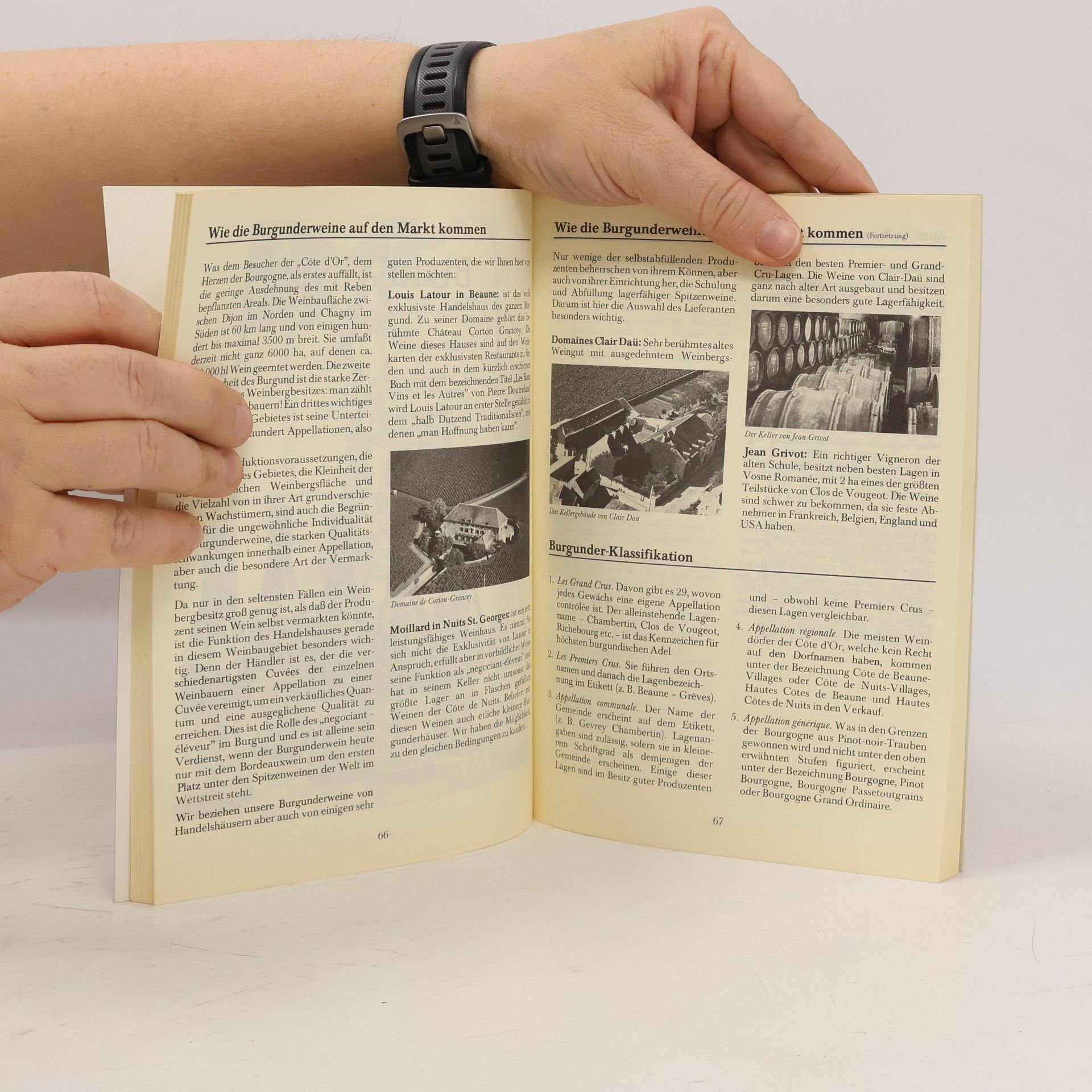 Autorenkollektiv Wein Brevier 1979/1980