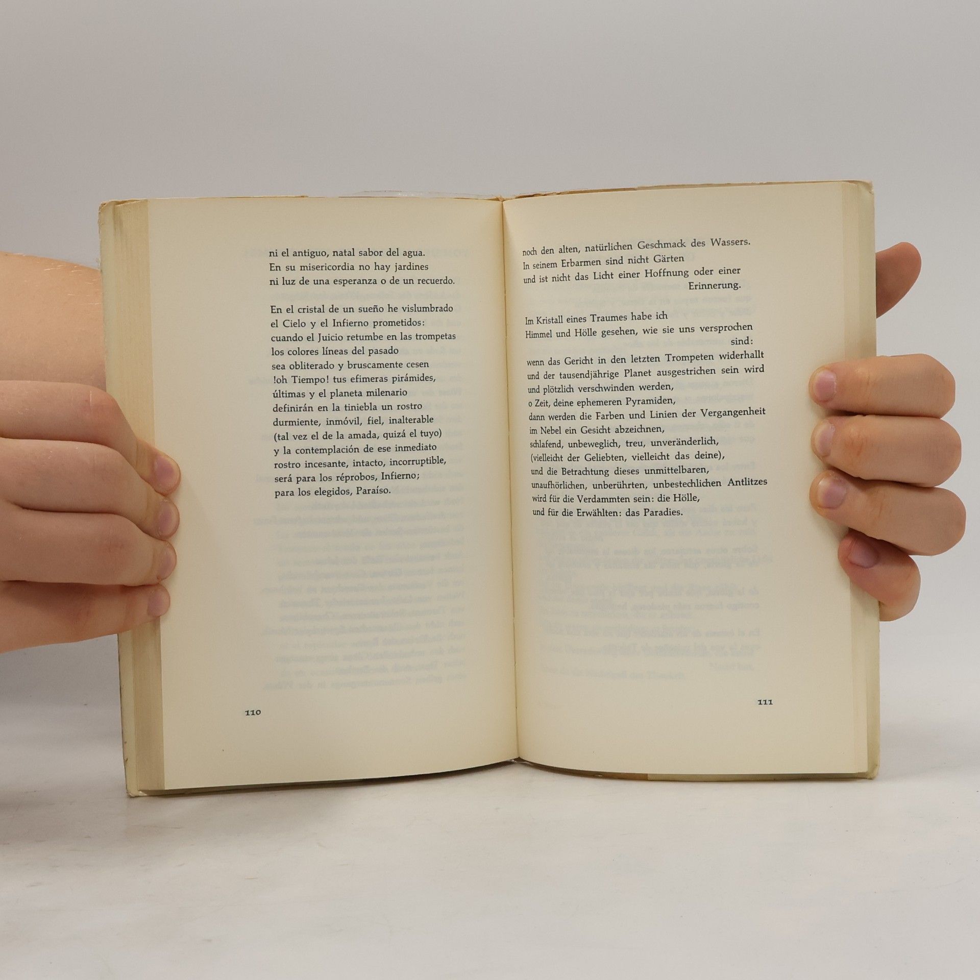 Jorge Luis Borges Ausgewählte Gedichte
