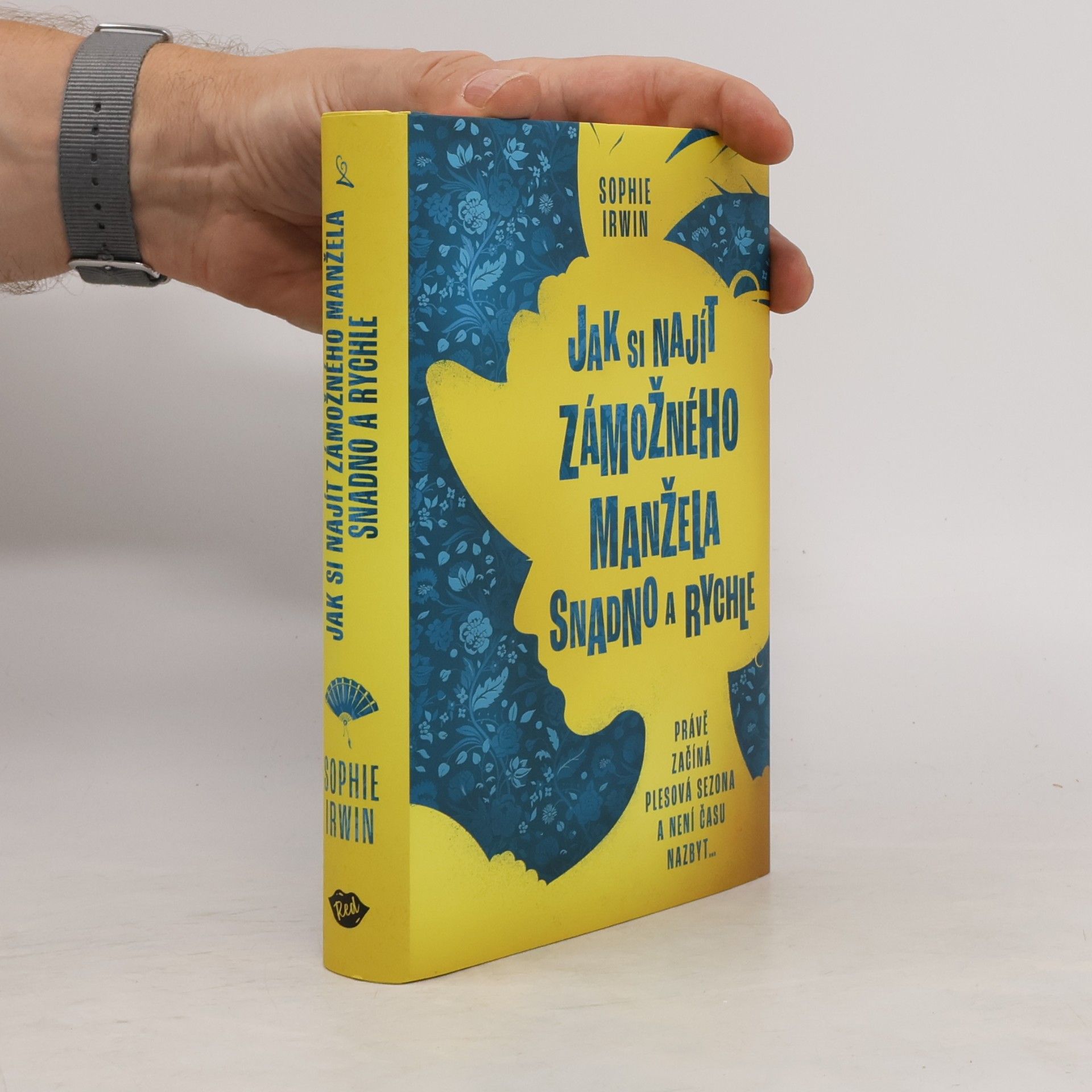 Sophie Irwin Jak si najít zámožného manžela snadno a rychle