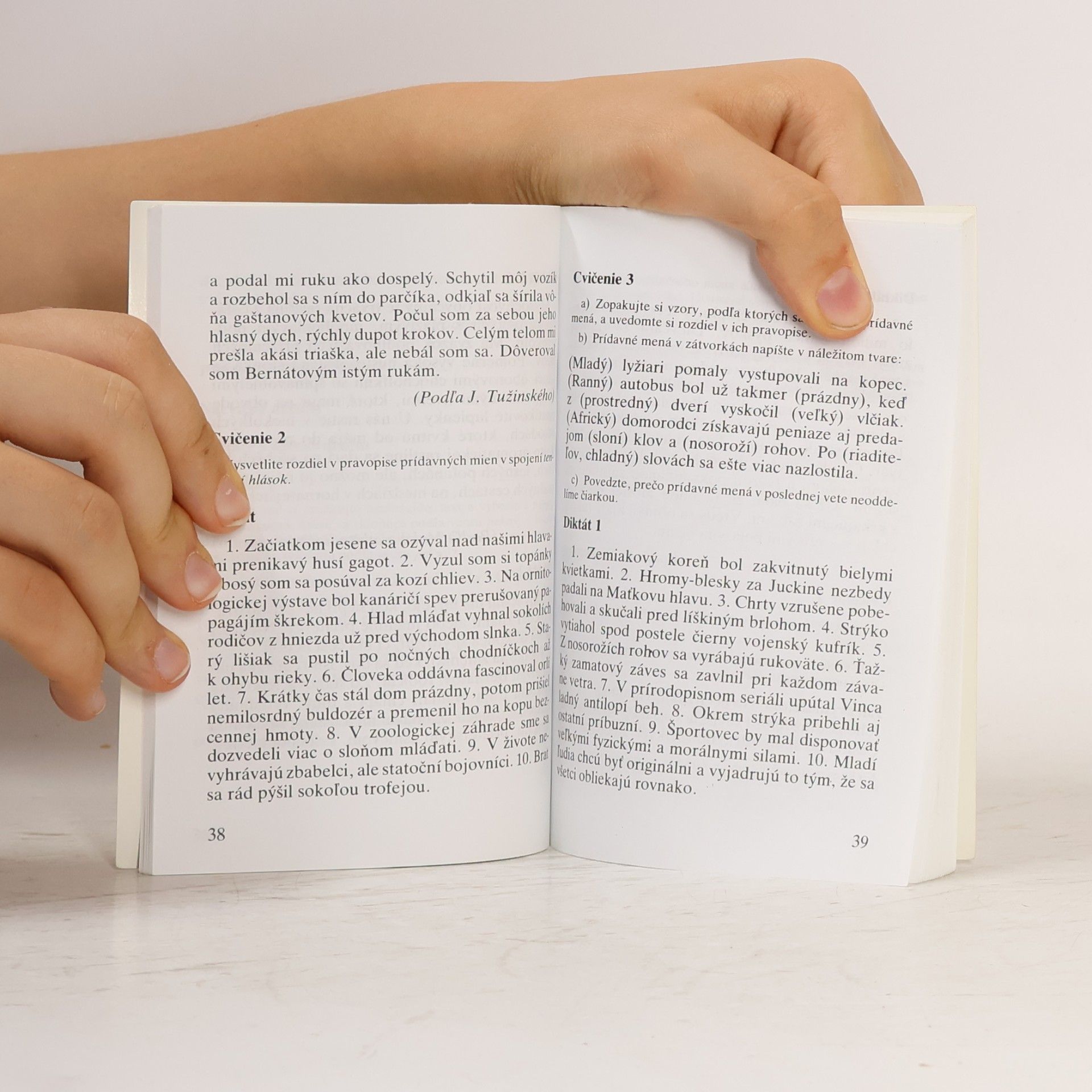 Various authors Precvičme si pravopis 8. ročník zš