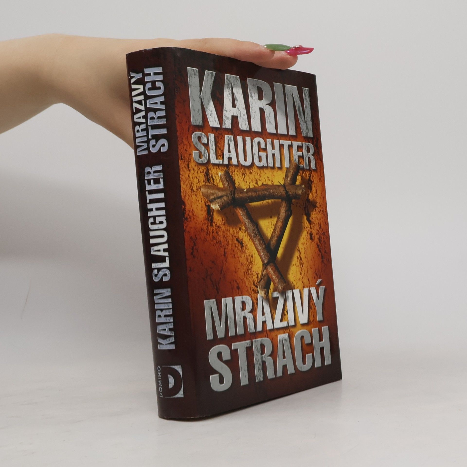 Karin Slaughter Mrazivý strach