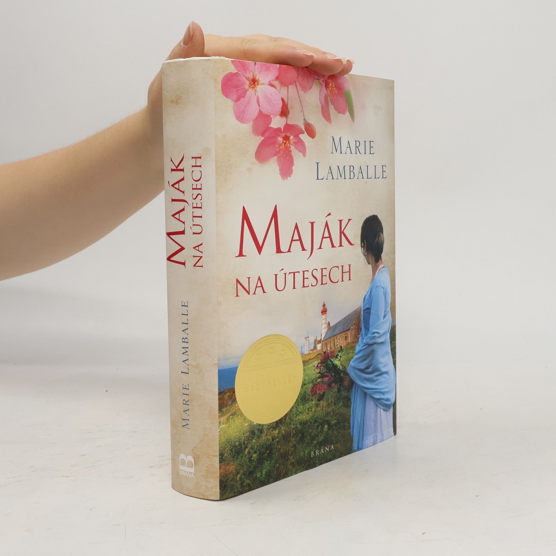 Anne Jacobs Maják na útesech