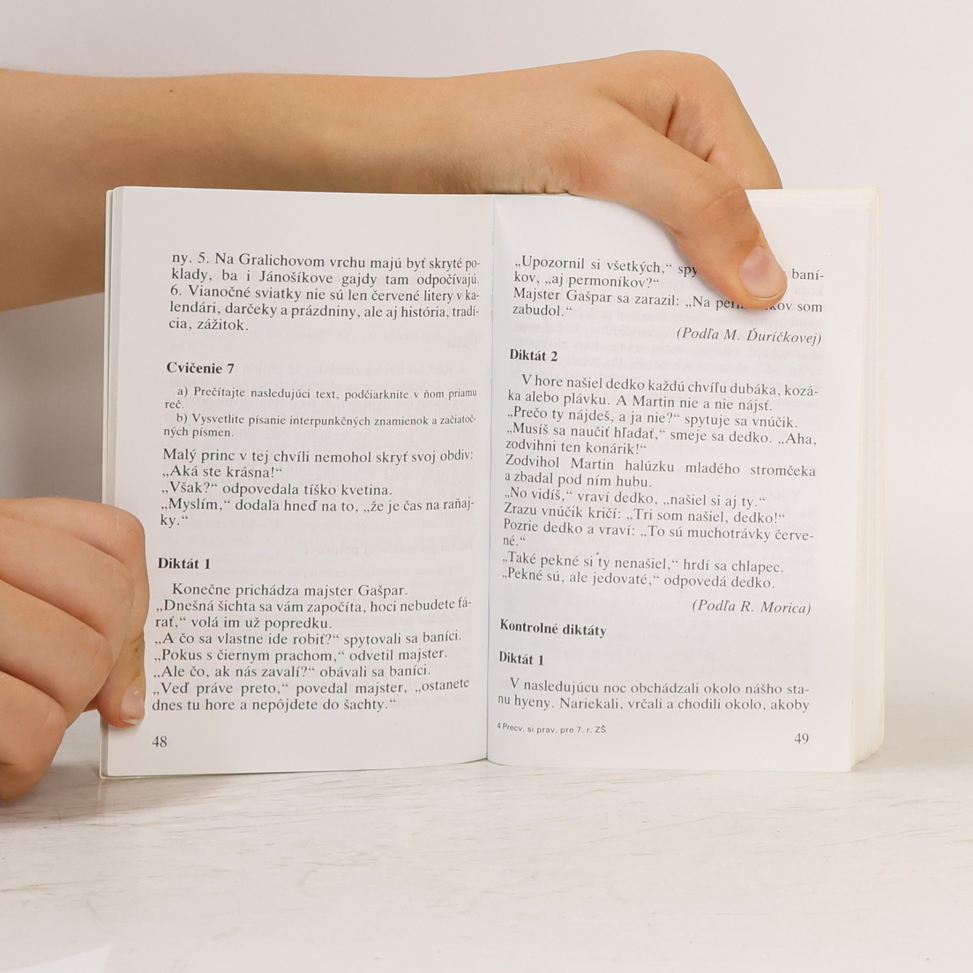 Autorenkollektiv Precvičme si pravopis 7. ročník základných škôl