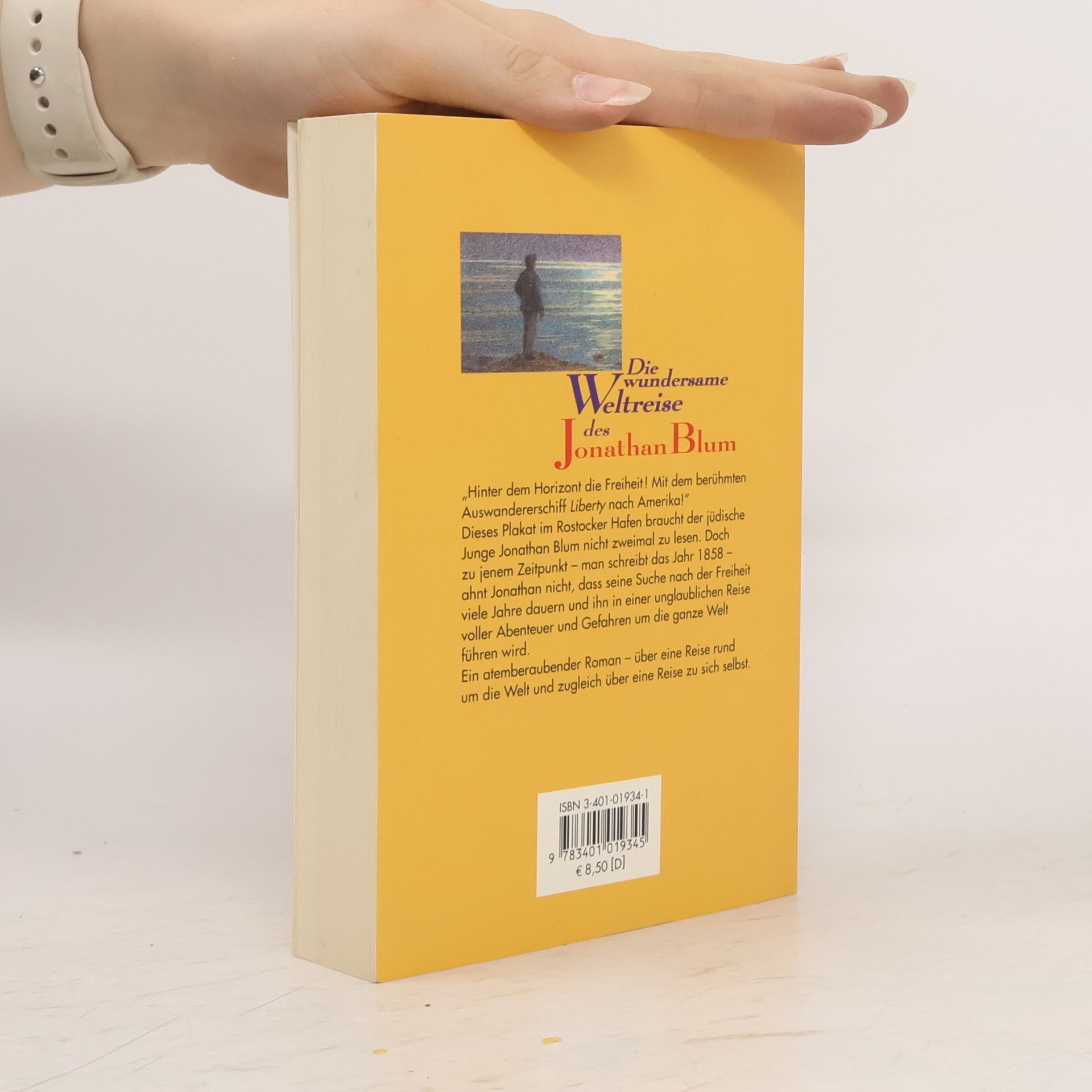 Rainer Maria Schröder Die wundersame Weltreise des Jonathan Blum