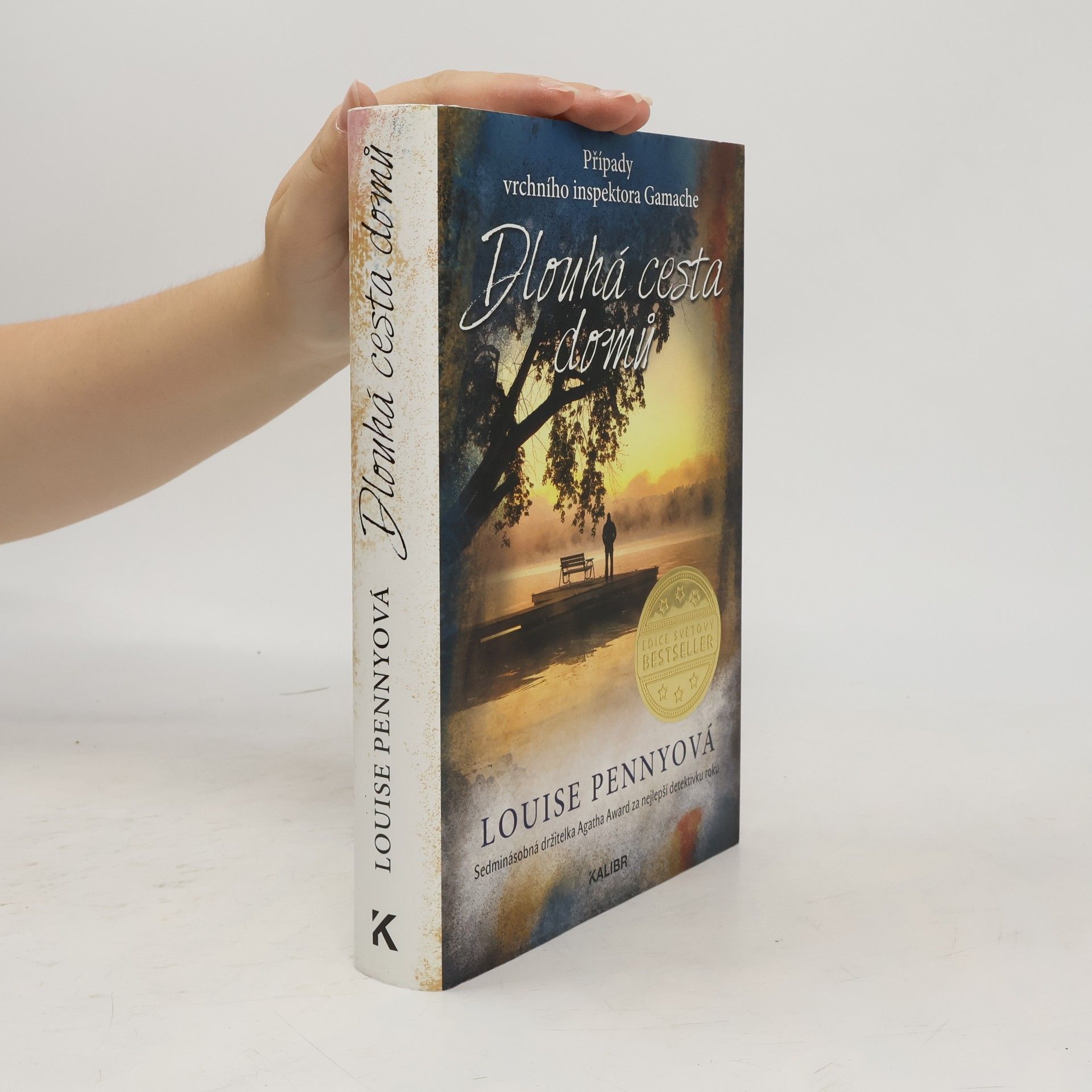 Louise Penny Dlouhá cesta domů