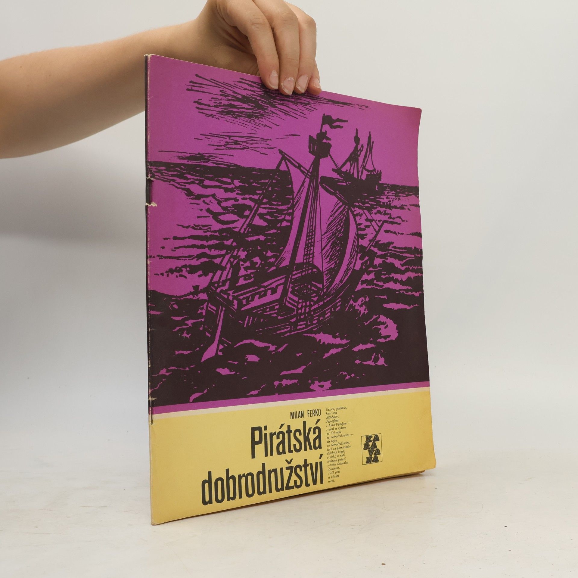 Pirátská dobrodružství