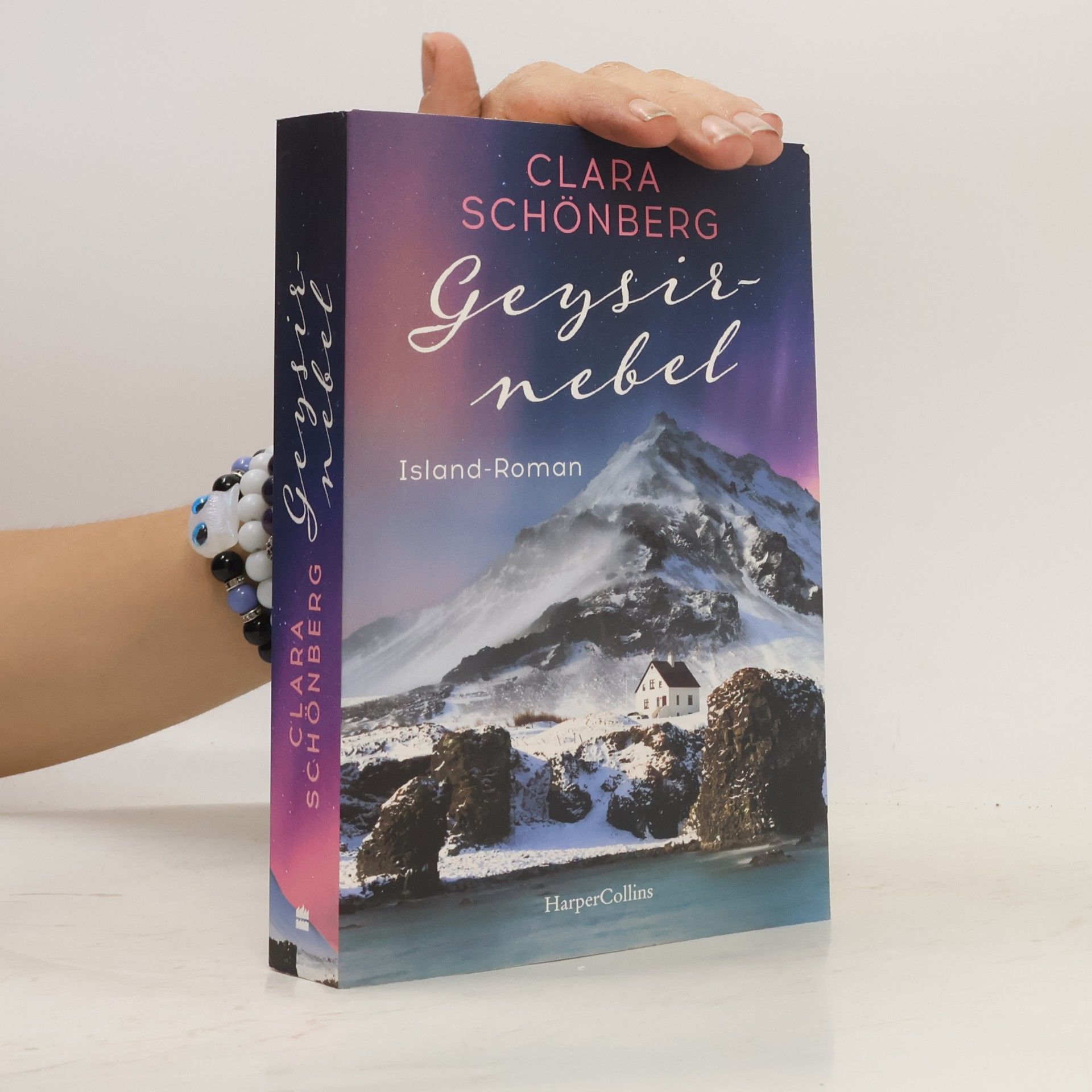 Clara Schönberg Geysirnebel