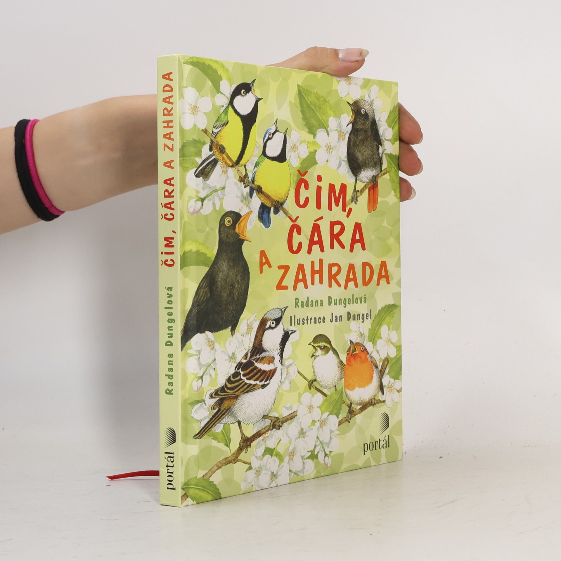 Radana Dungelová Čim, Čára a zahrada