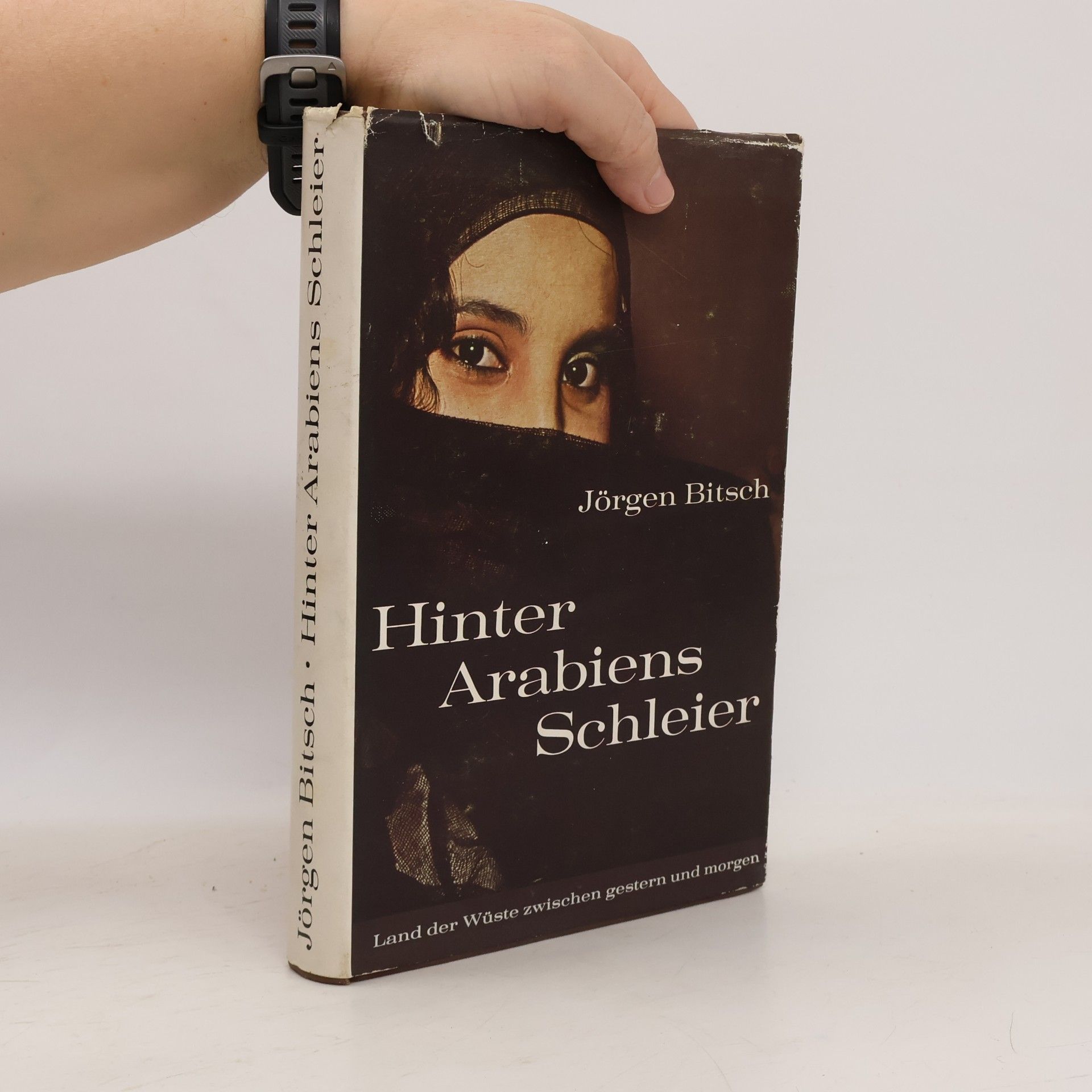 Jørgen Bitsch Hinter Arabiens Schleier